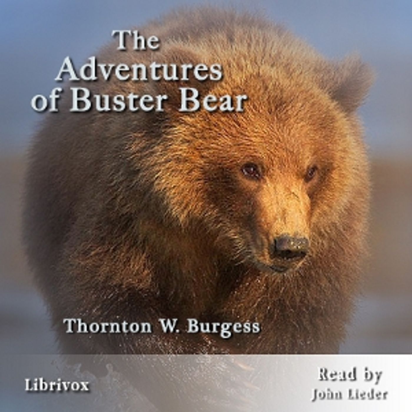 The Adventures of Buster Bear, by Thornton W. Burgess