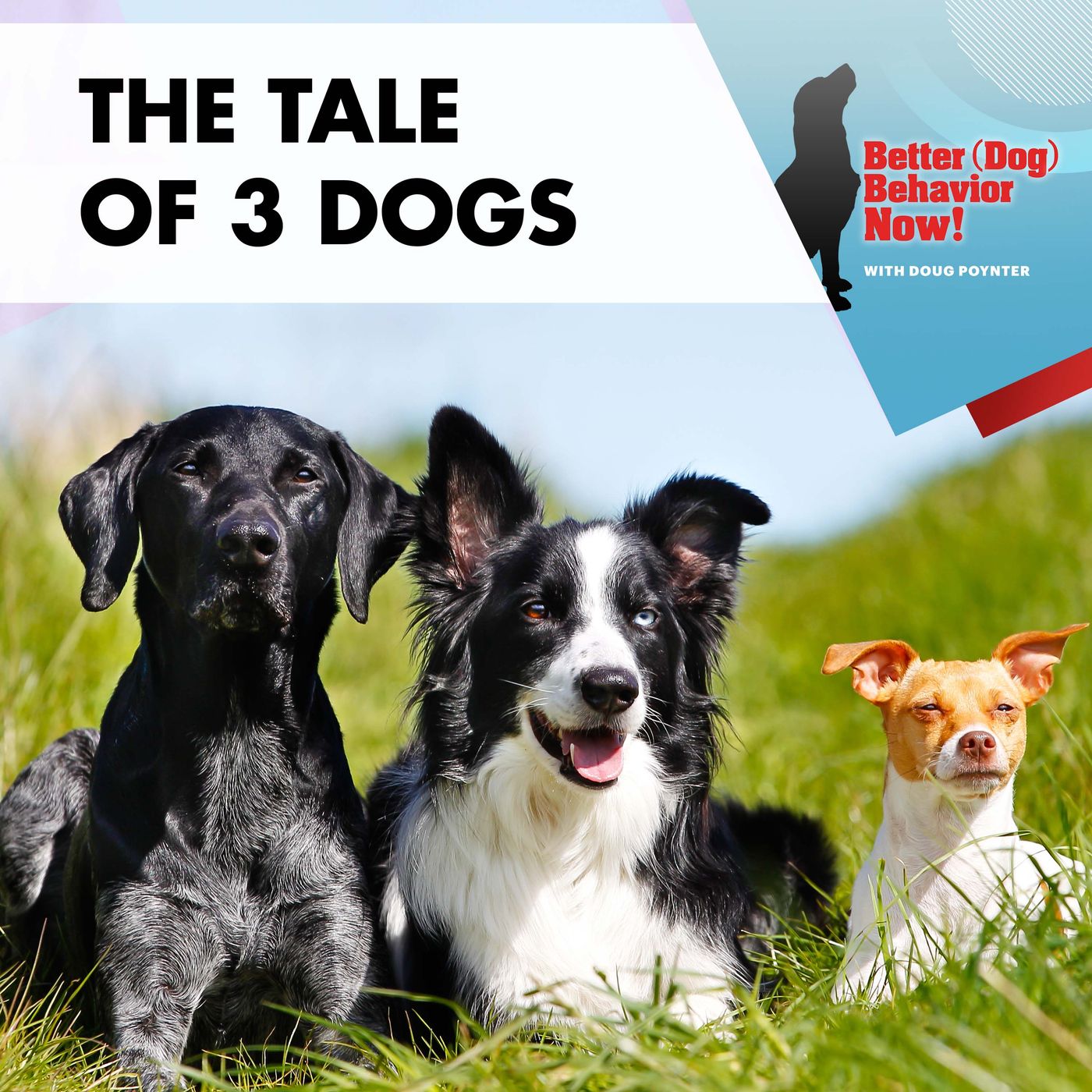 The Tale Of 3 Dogs episode artwork