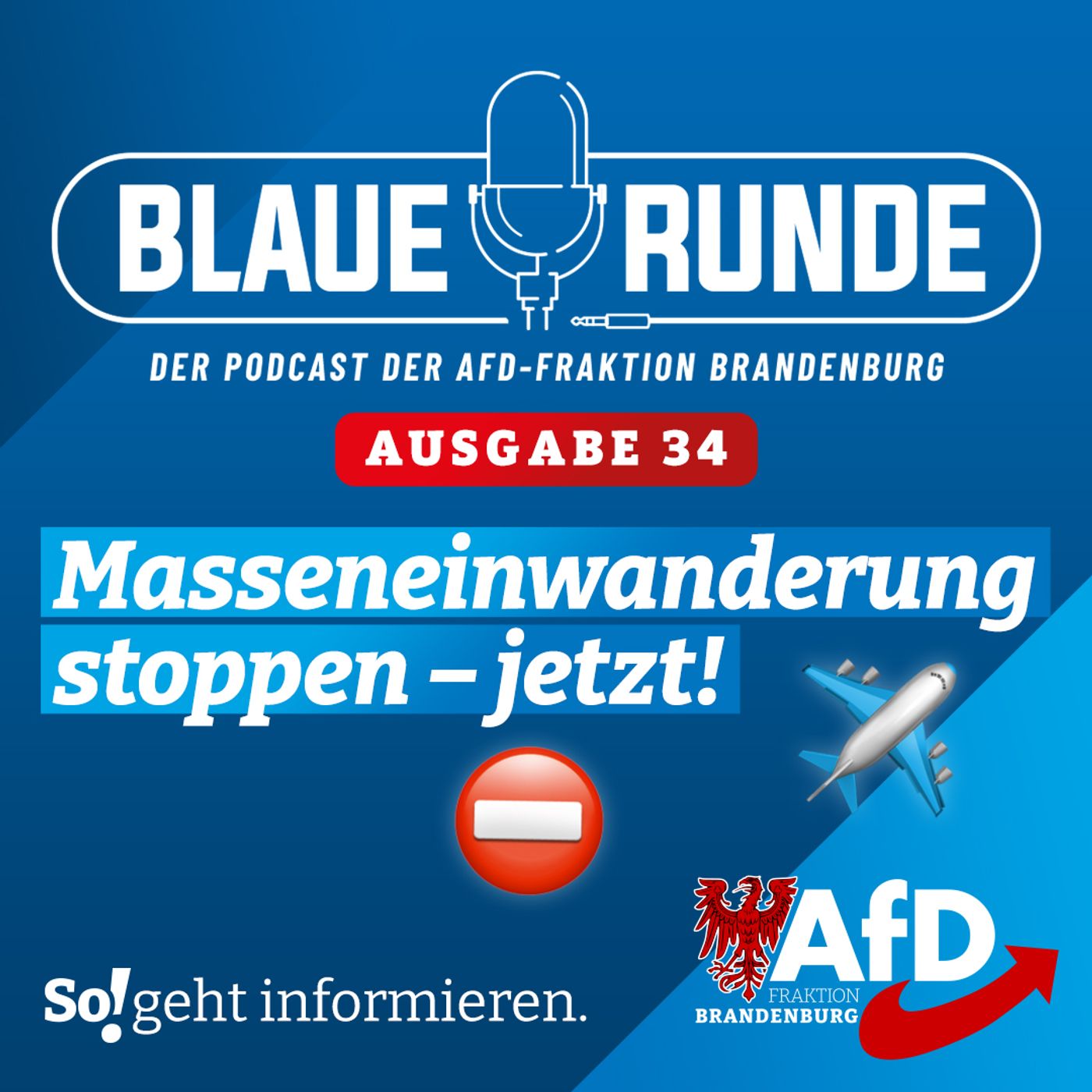 Masseneinwanderung stoppen – jetzt! | Die Blaue Runde, Ausgabe 34/23 vom 02. April 2023 episode artwork