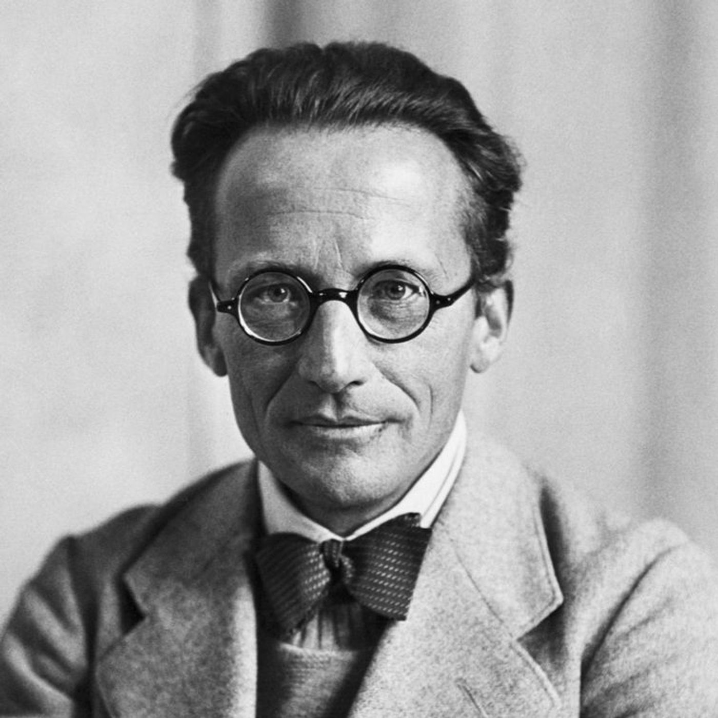 Il Gatto di Schrödinger