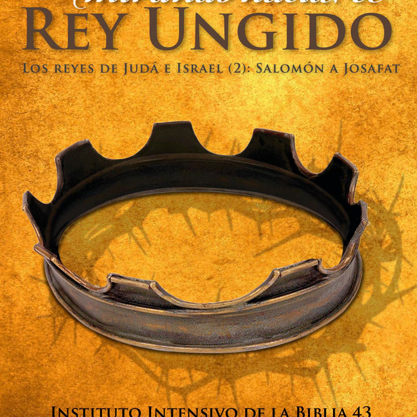 Institutos intensivos en Aierdi