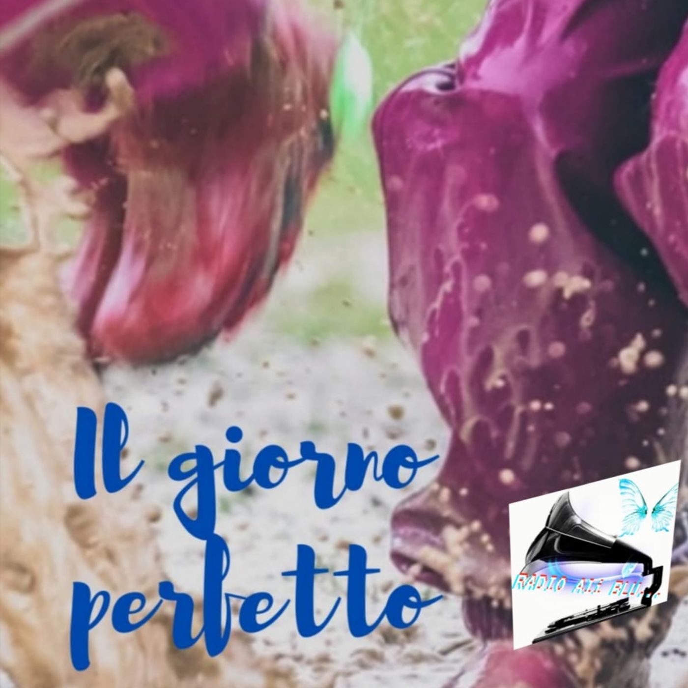 Radio Ali Blu... Il podcast delle emozioni!