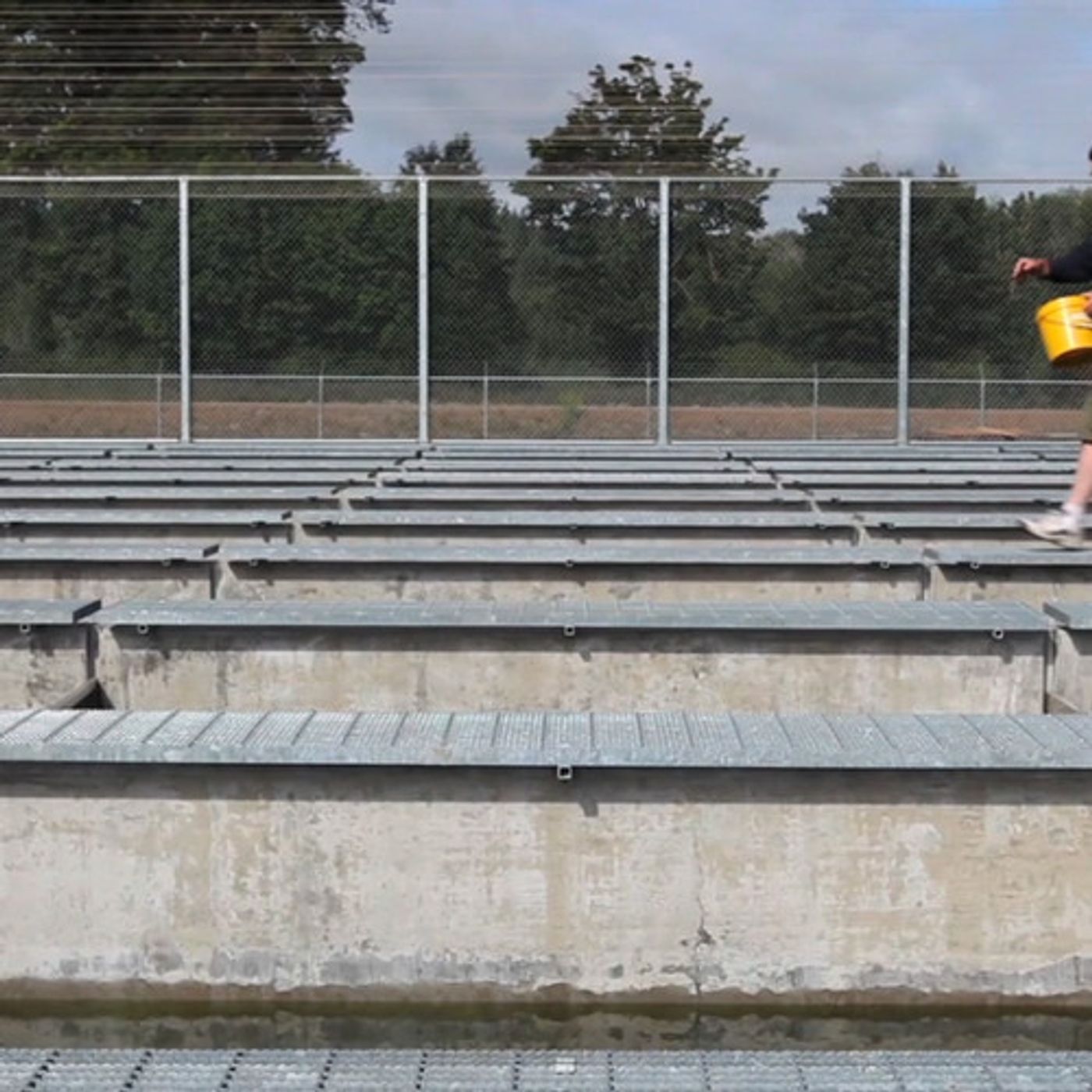 A Tribe Opts For Hatcheries to Bring Fish to the Elwha episode artwork