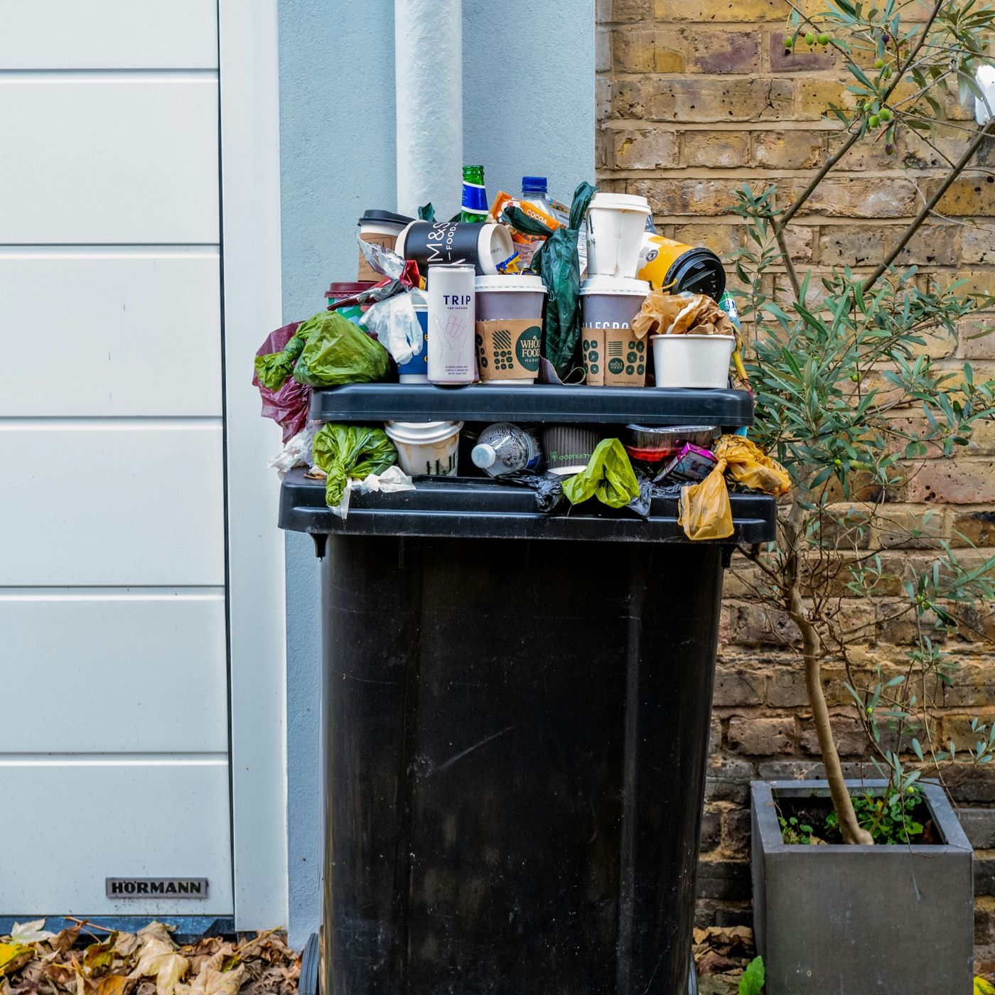 Food waste