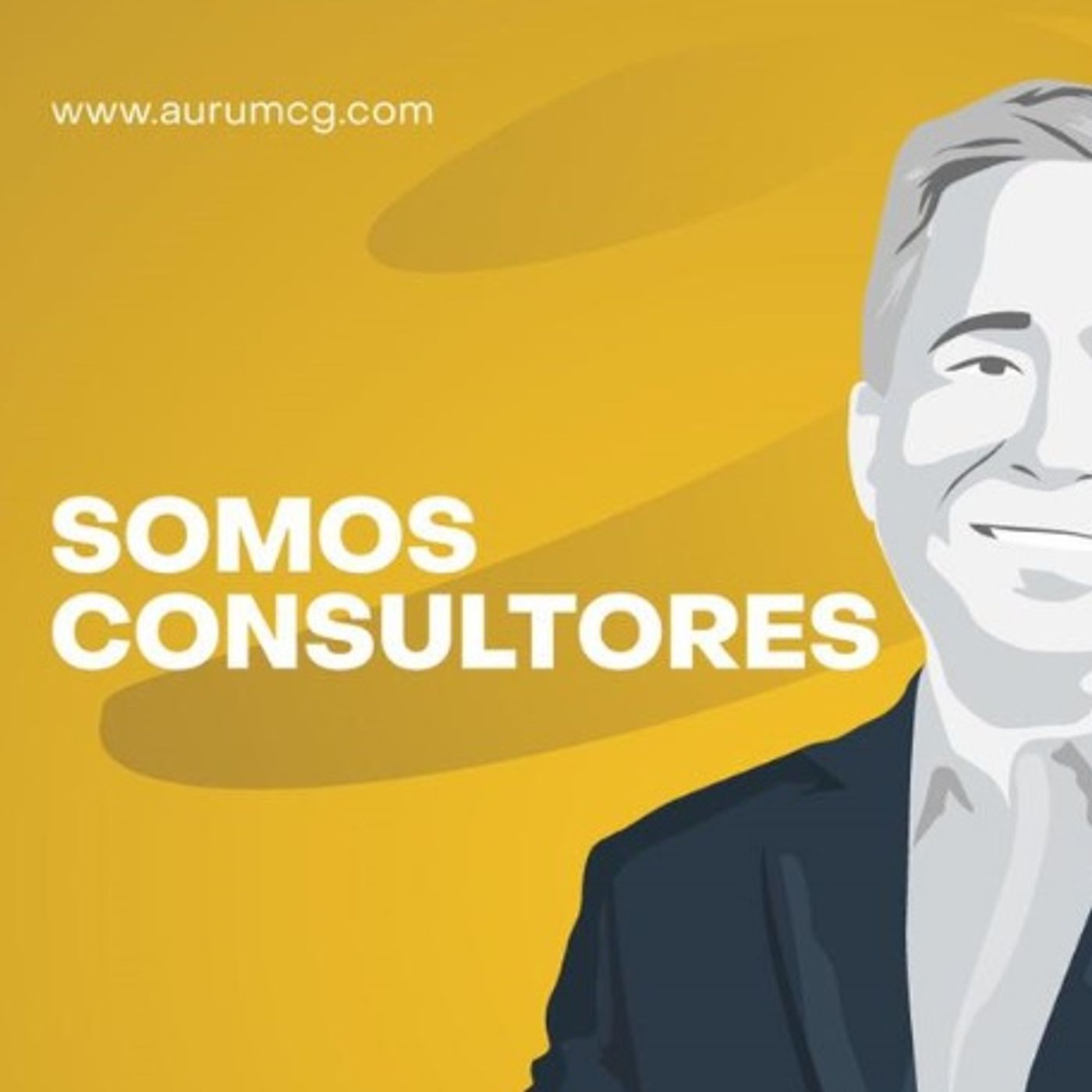 Aurum Consulting Group