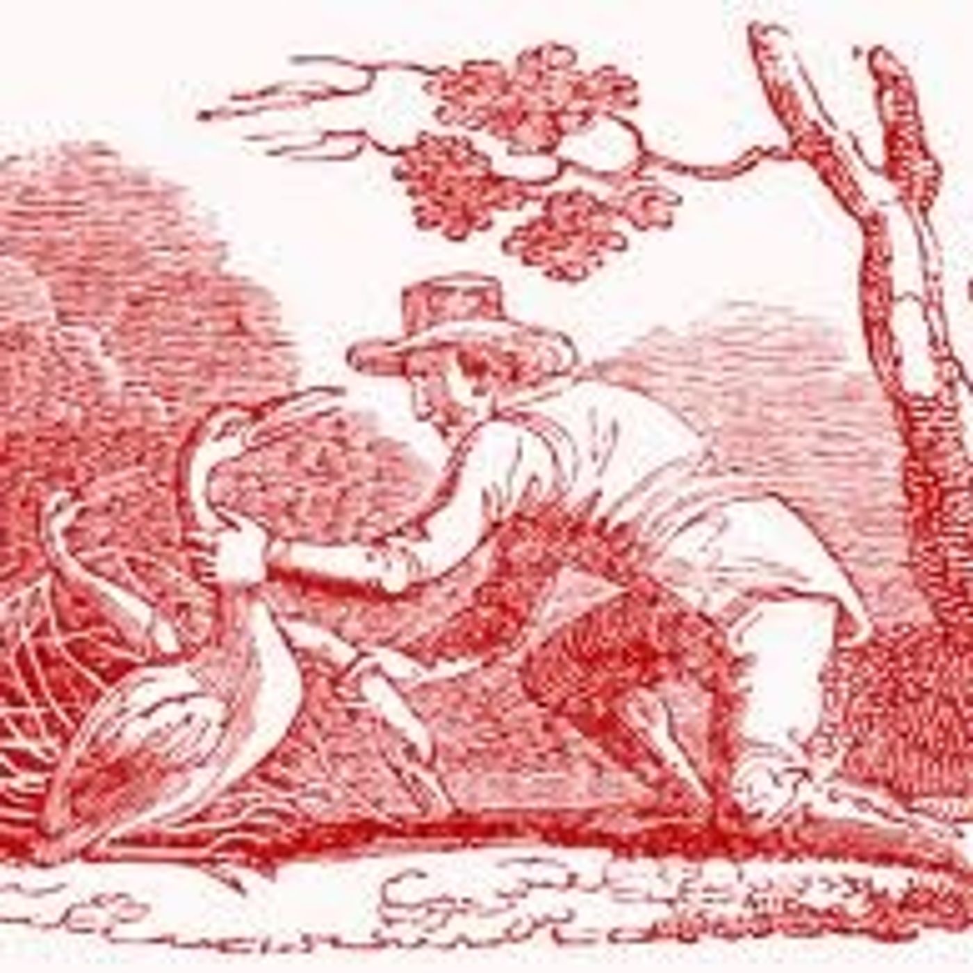 The Farmer and The Stork