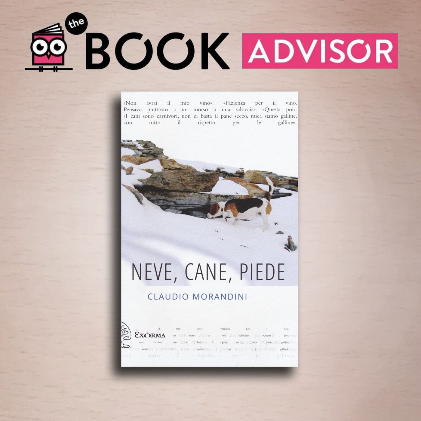 Le recensioni di The BookAdvisor