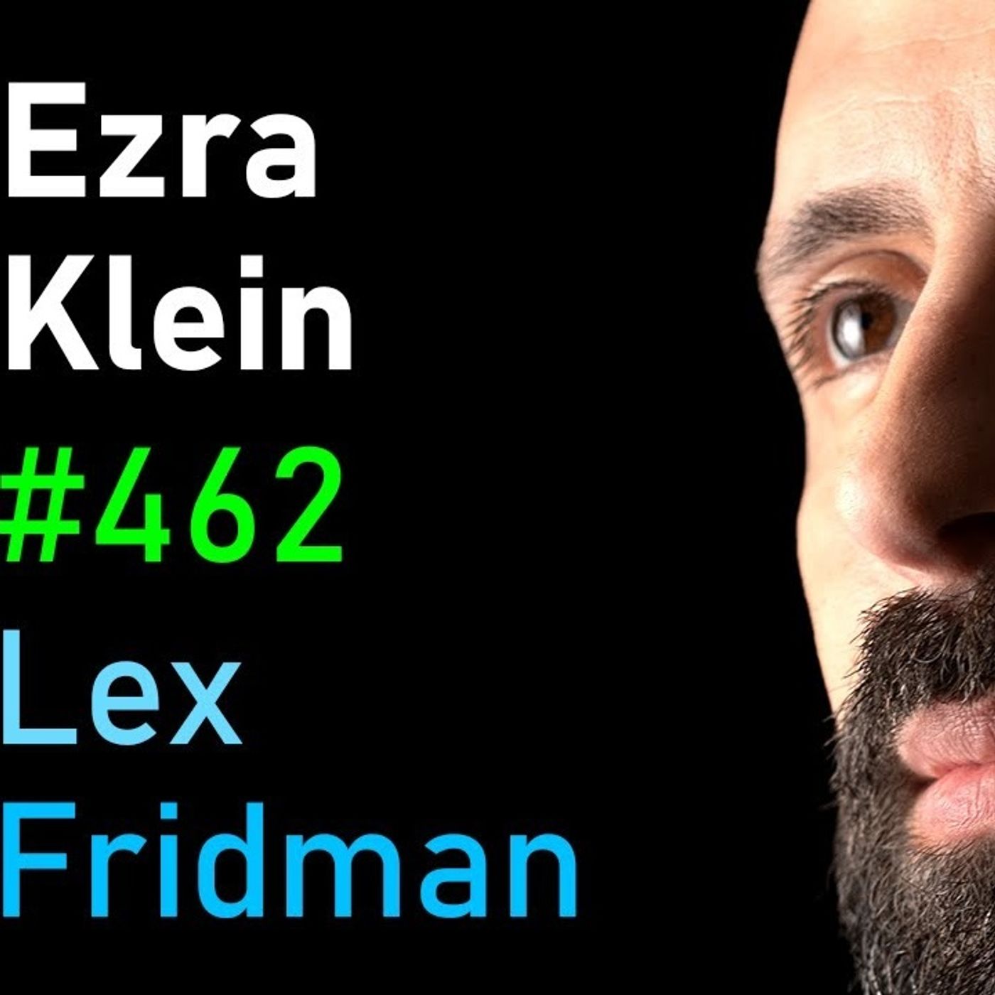 Ezra Klein and Derek Thompson_ Politics_ Trump_ AOC_ Elon _ DOGE _ Lex Fridman Podcast _462(M4A_128K)