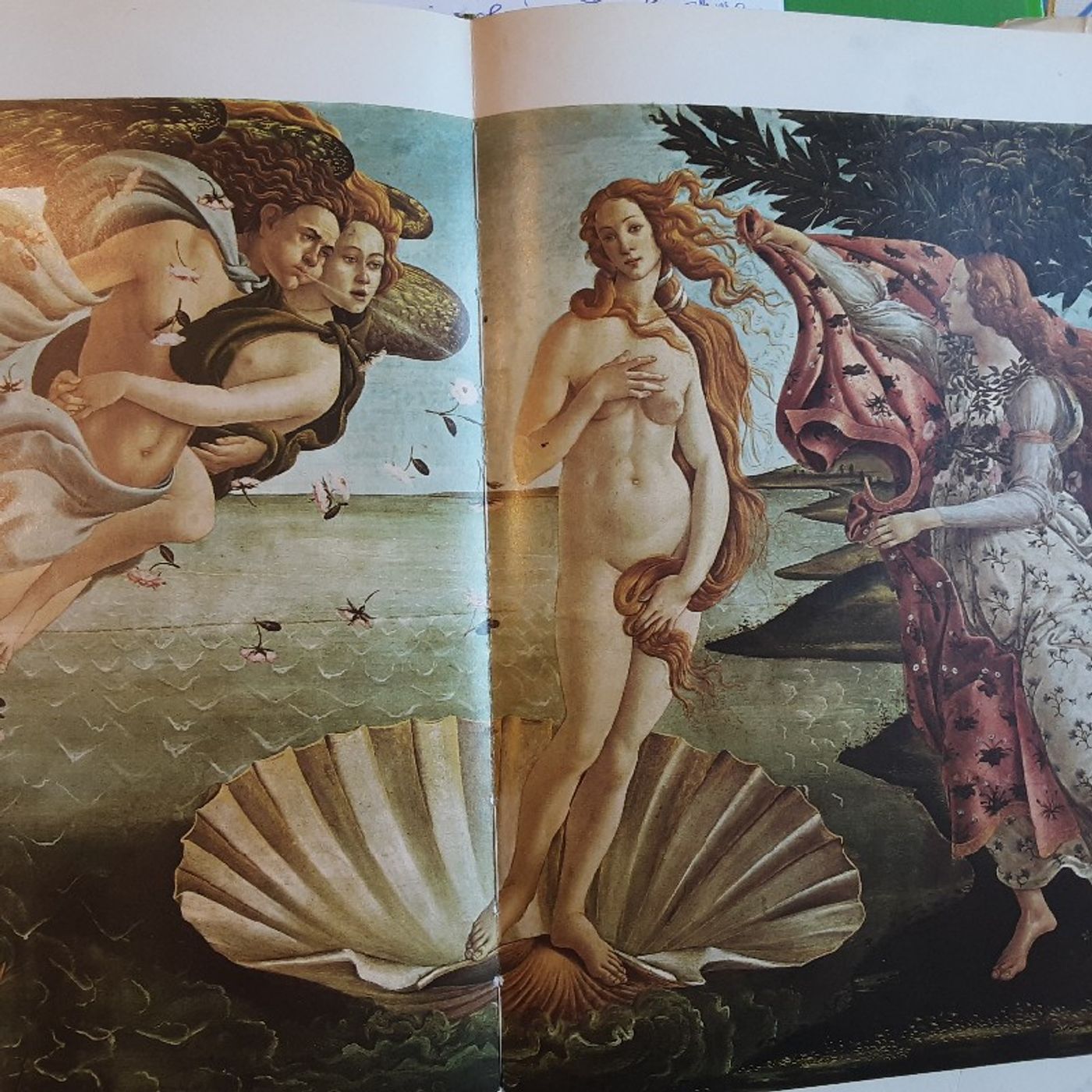 Arte in 7 minuti