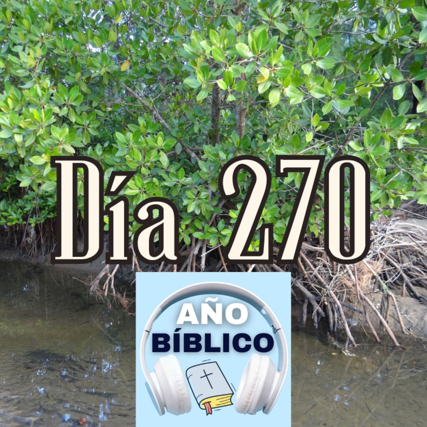 Día 270 - Salmo 107:17-22, Isaías 65-66 y Efesios 1:1-14 episode artwork
