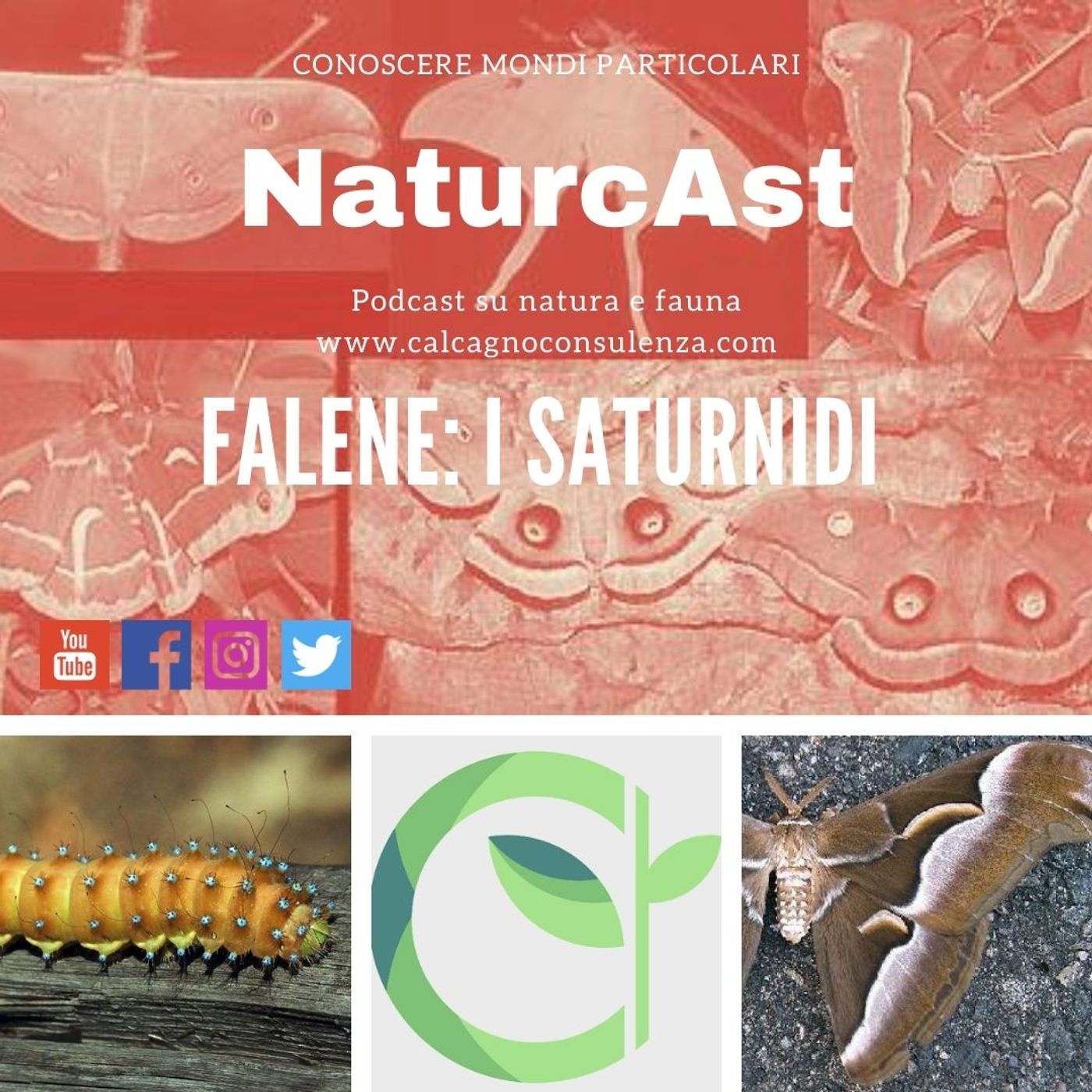 NaturcAst