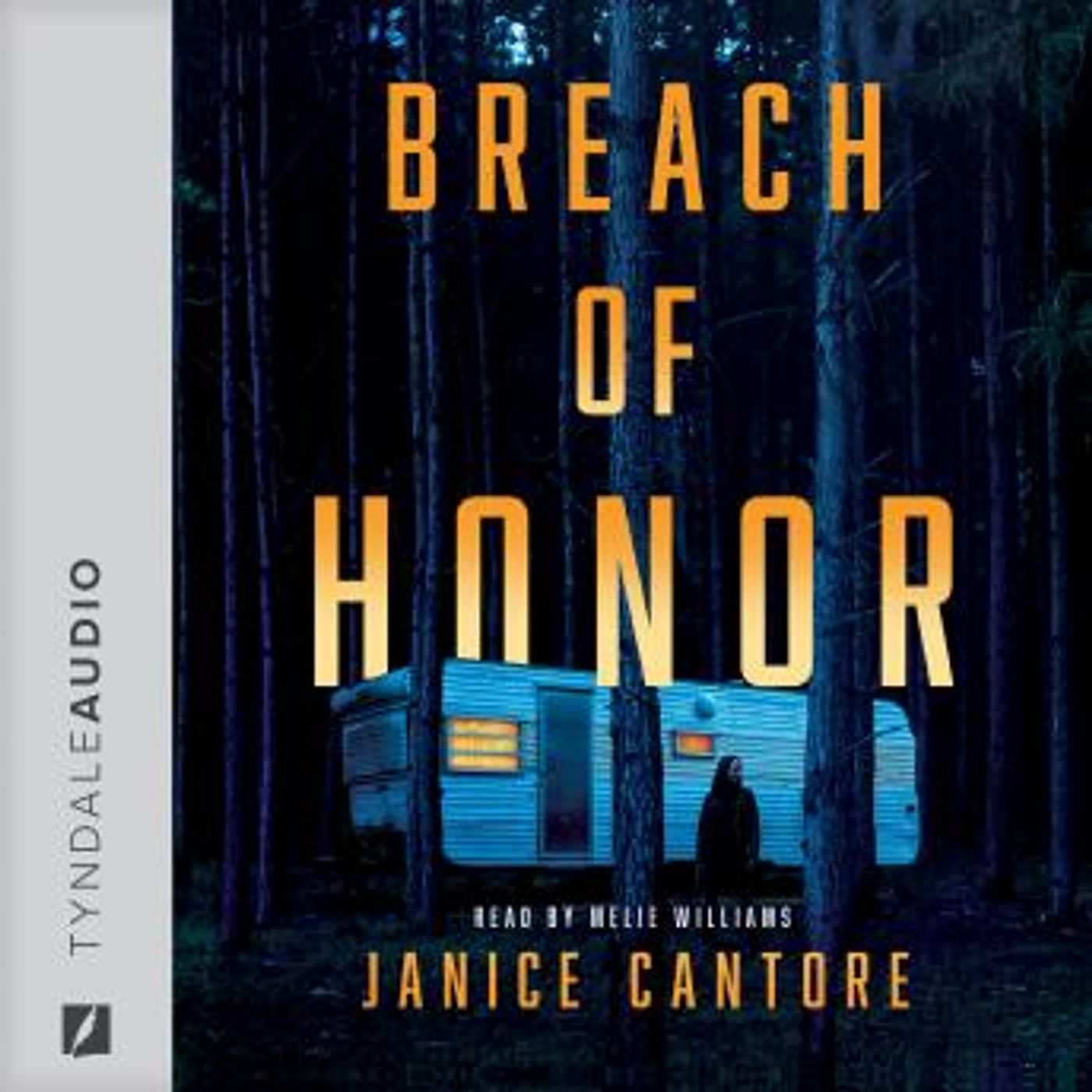 Access Unmissable Full Trial Audiobooks in Romance, Mystery
