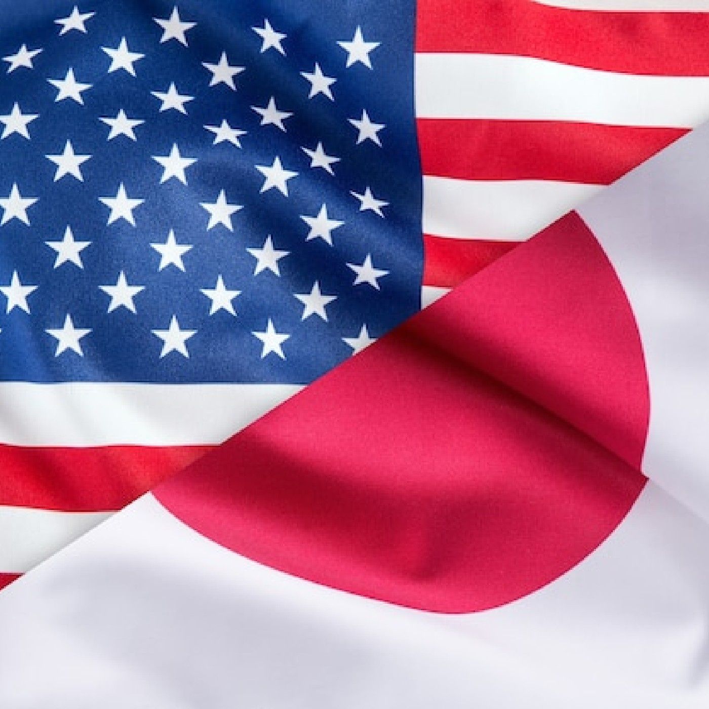 Two Worlds on a Plate: Japan vs The USA