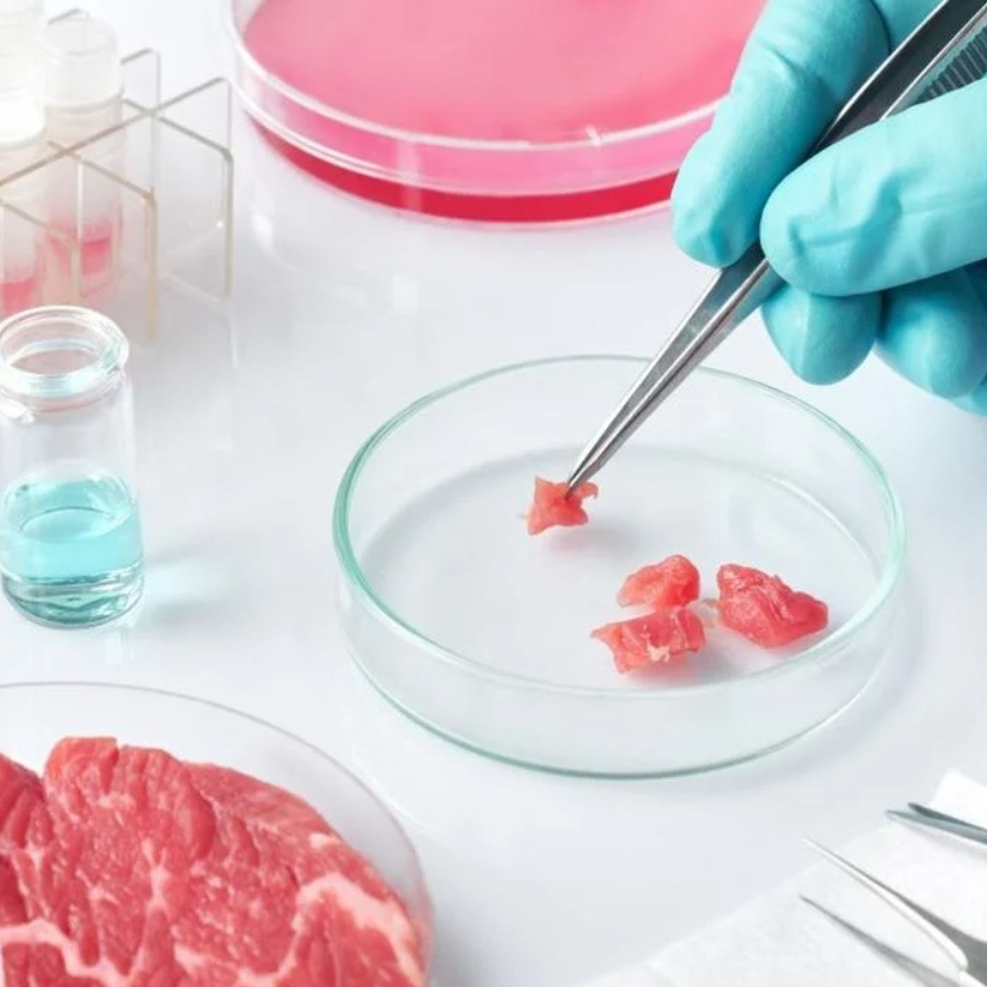 Lab Grown Meat & Climate Change: Saving the Planet or Controlling the People?