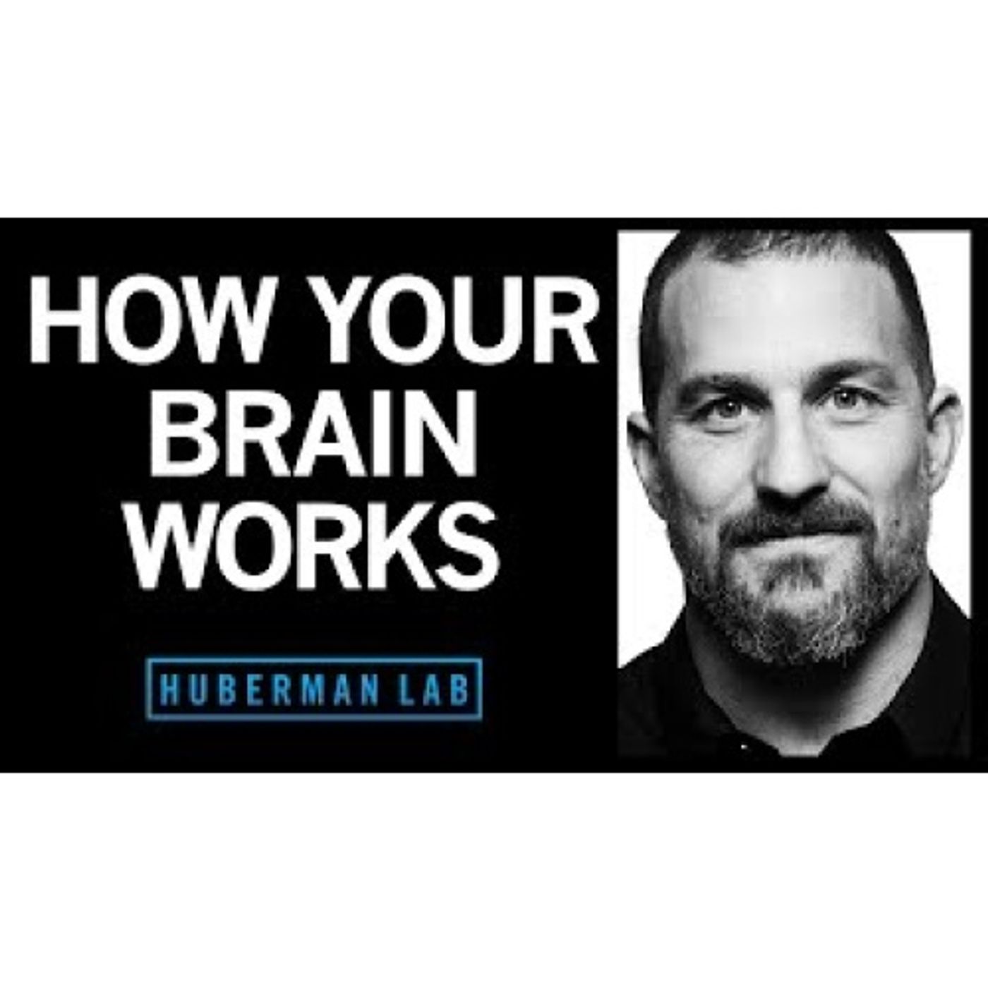 How Your Brain Works & Changes