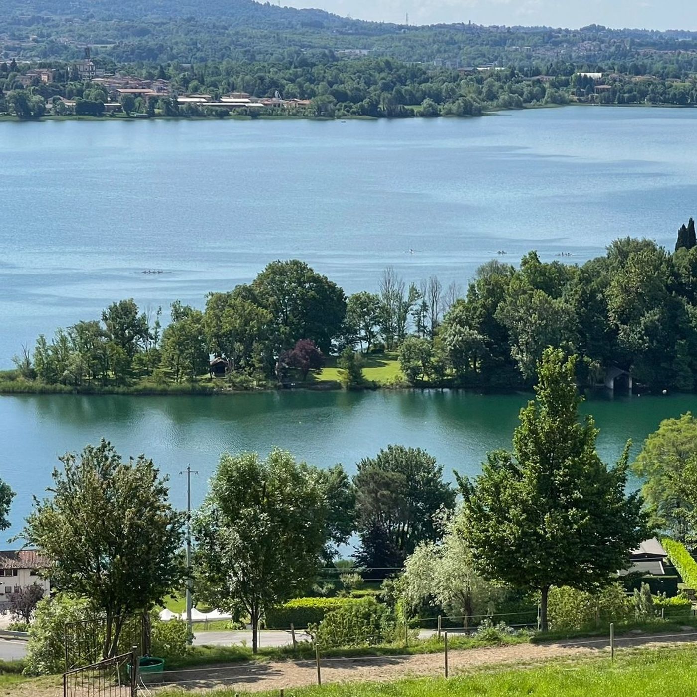 Pensieri sconnessi e concessi...