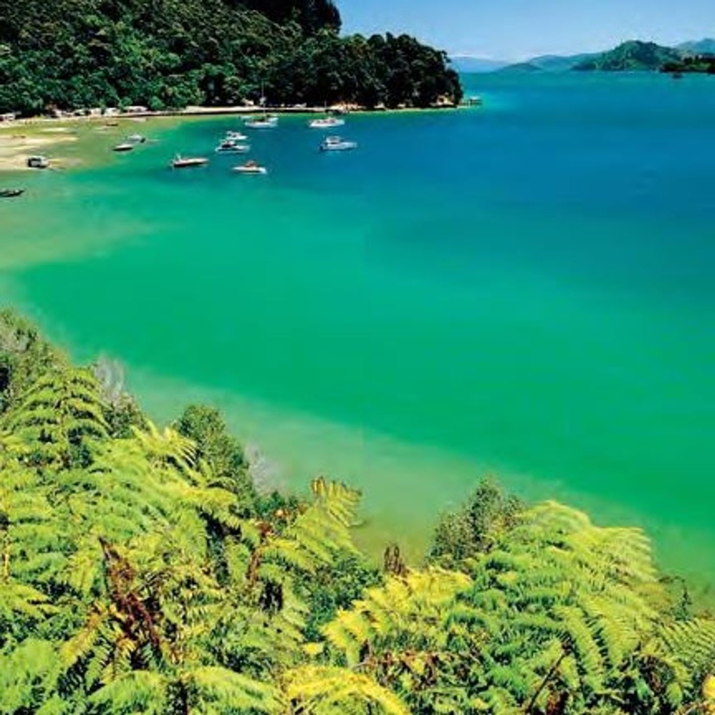 A New Zealand Adventure