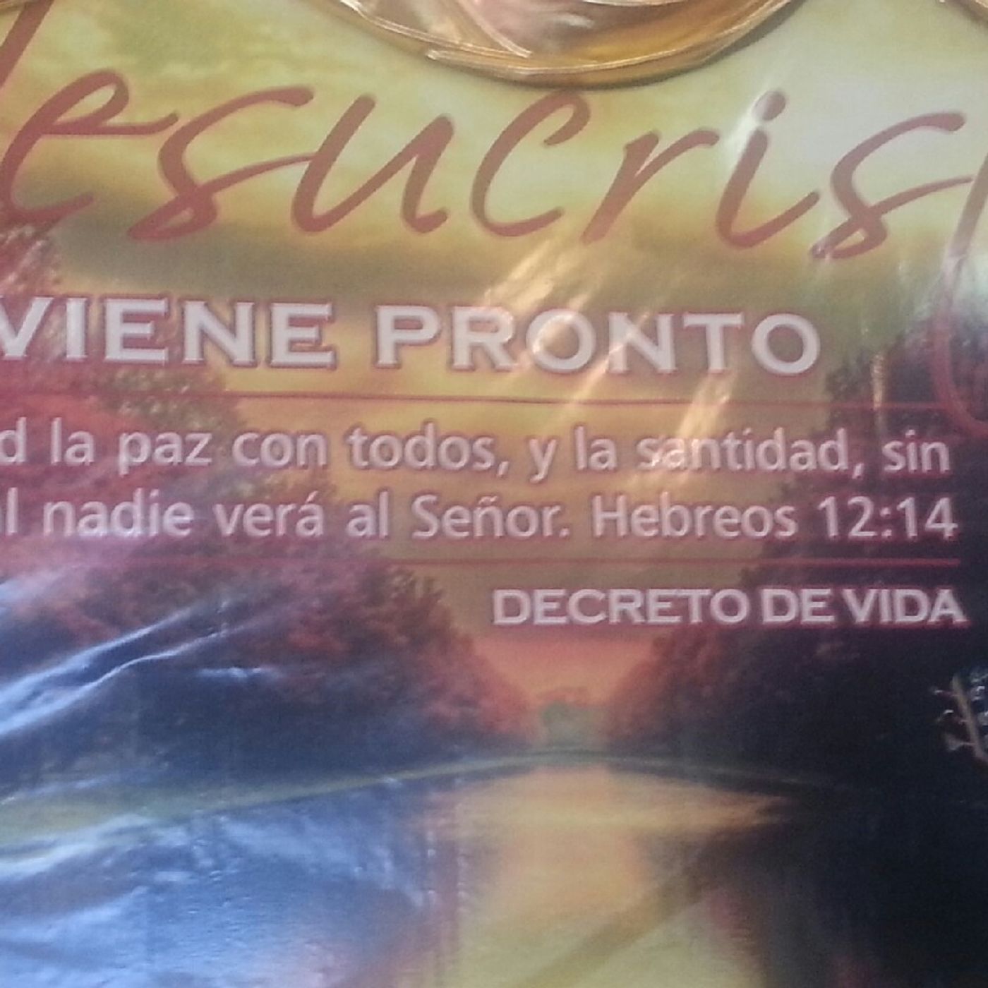 Decreto De Vida