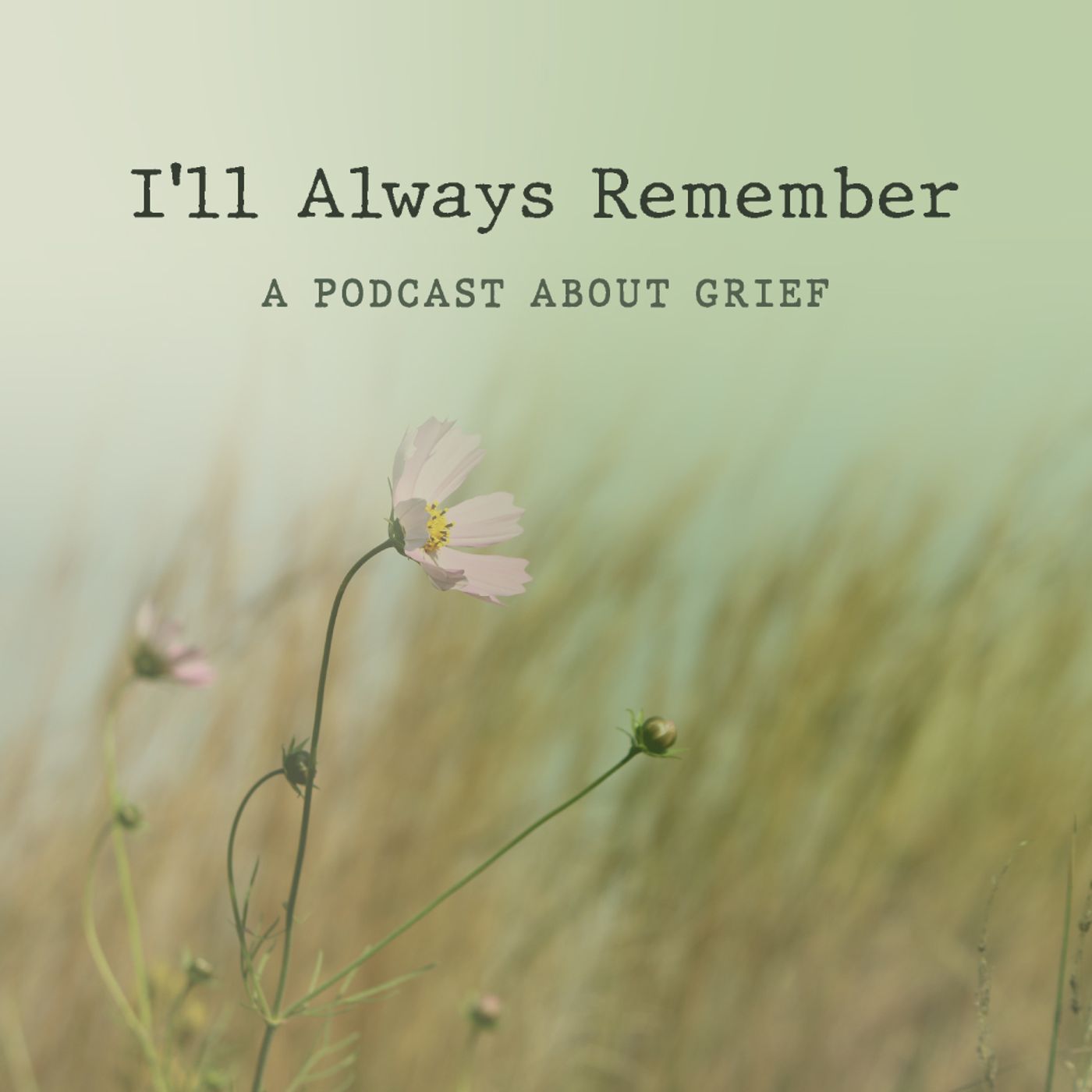 I’ll Always Remember | Grief Stories