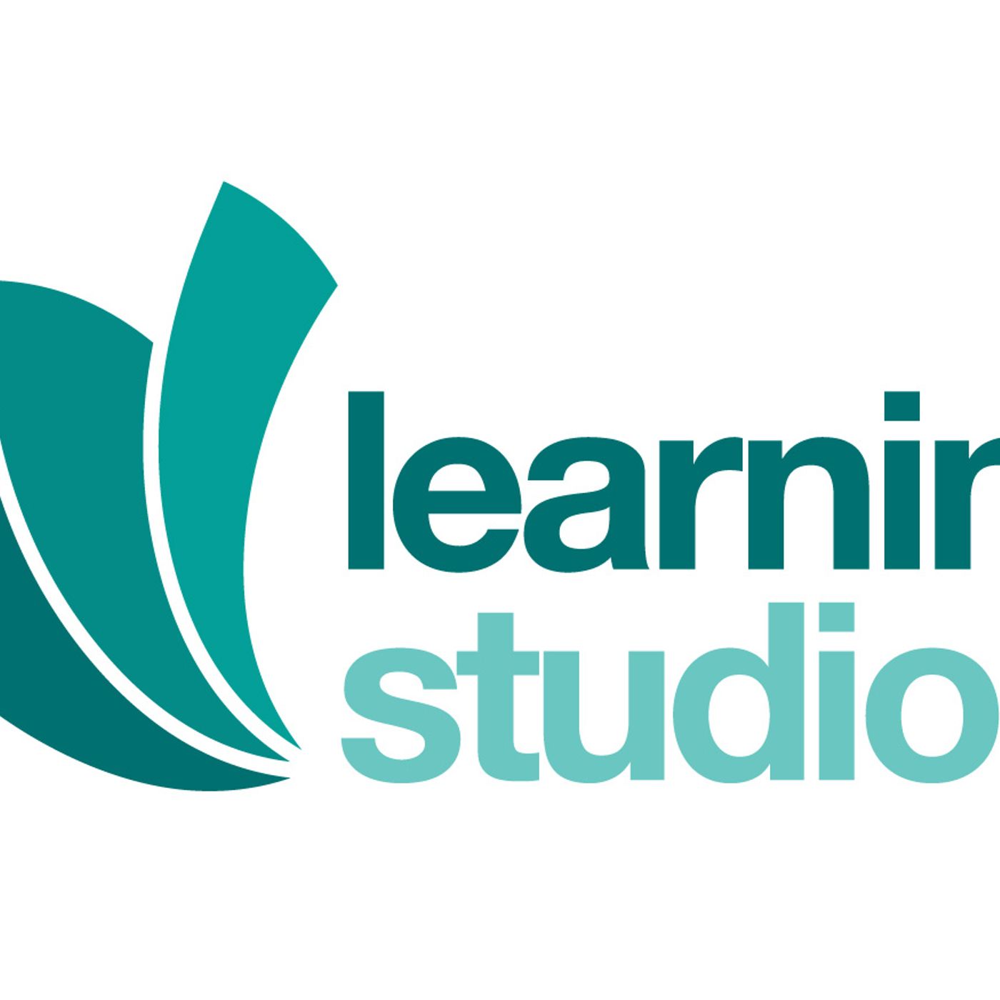 Maximizing Learning