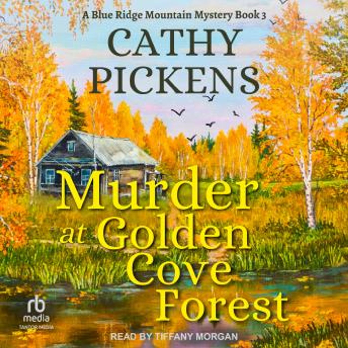 Get Best Full Audiobooks in Mystery, Thriller & Horror, Police & Detective