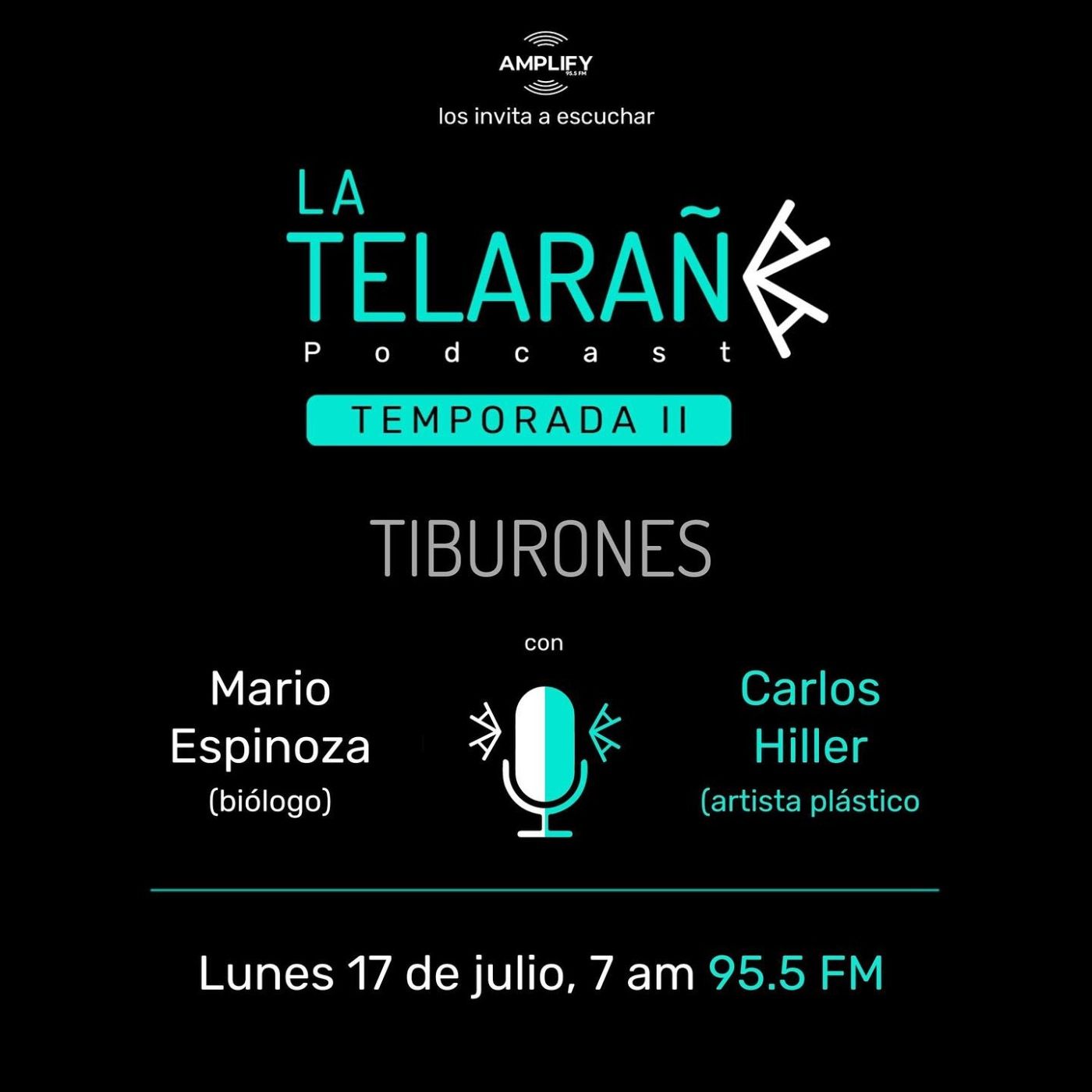 Portada de La Telaraña