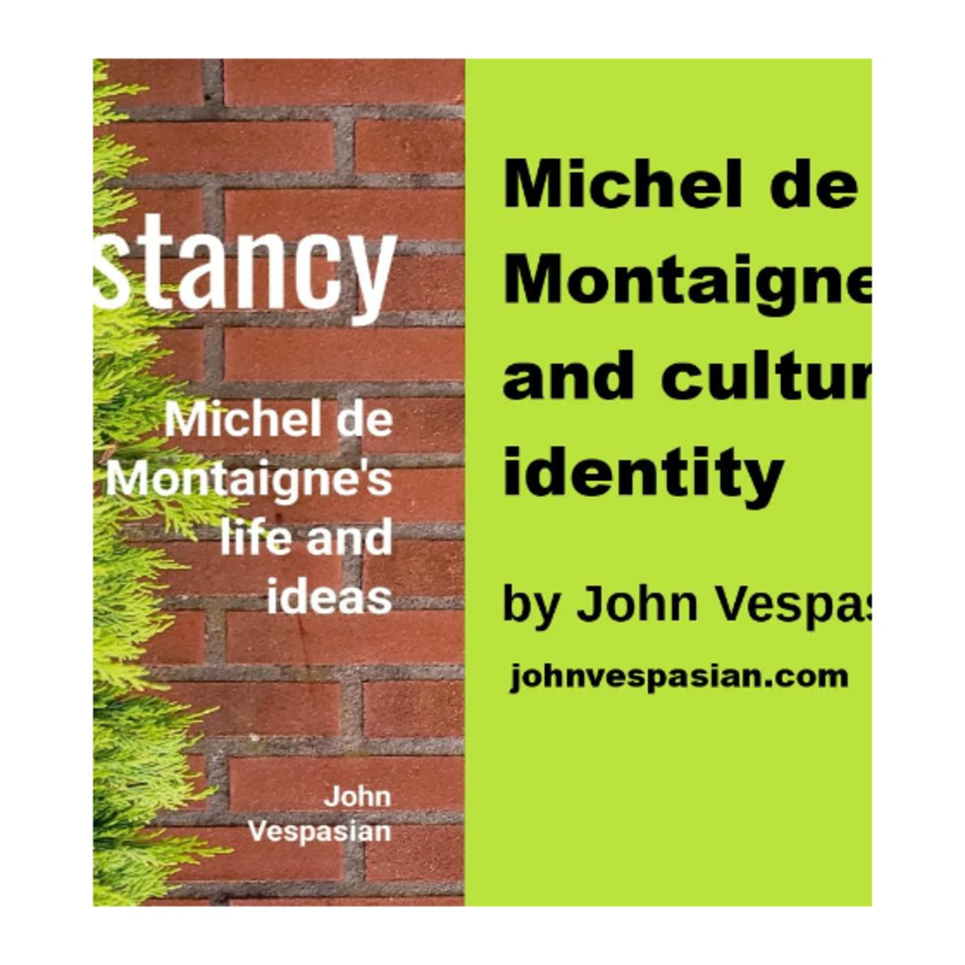 Michel de Montaigne and cultural identity episode artwork