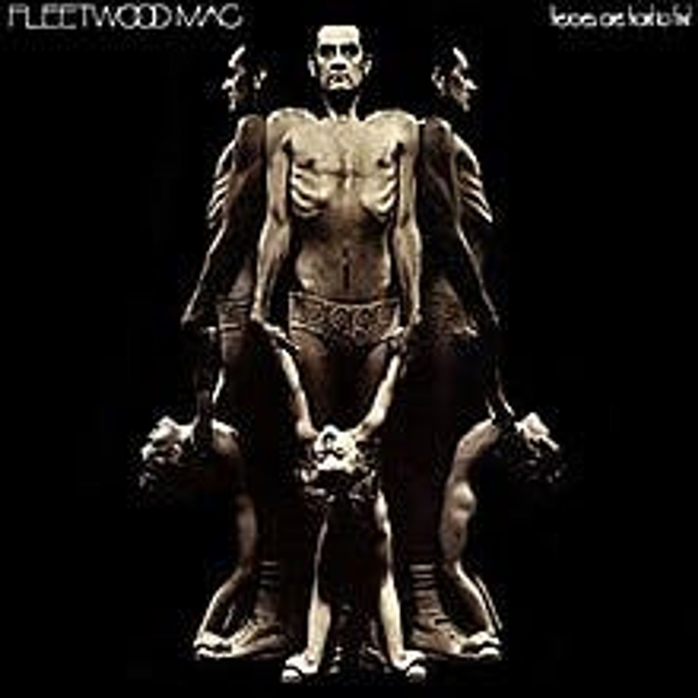 9. DAY BY DAY: FLEETWOOD MAC - HEROES ARE HARD TO FIND episode artwork