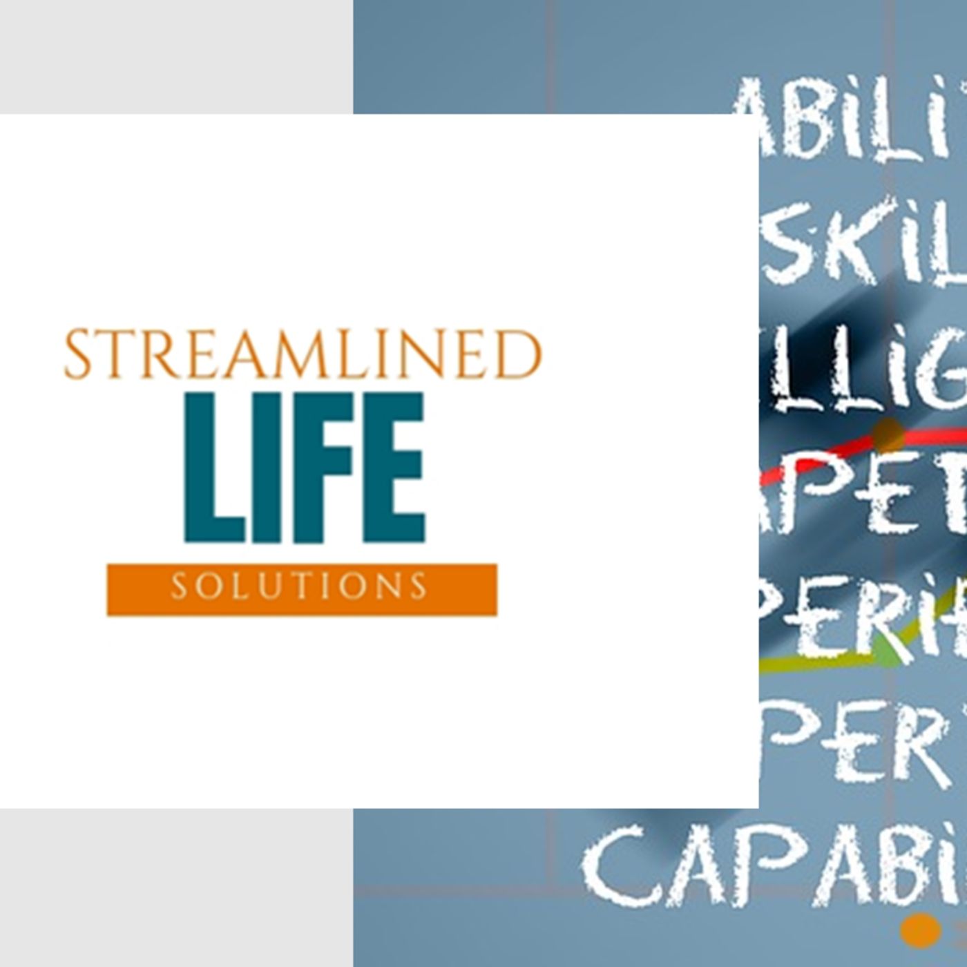 Streamlined Life Solutions