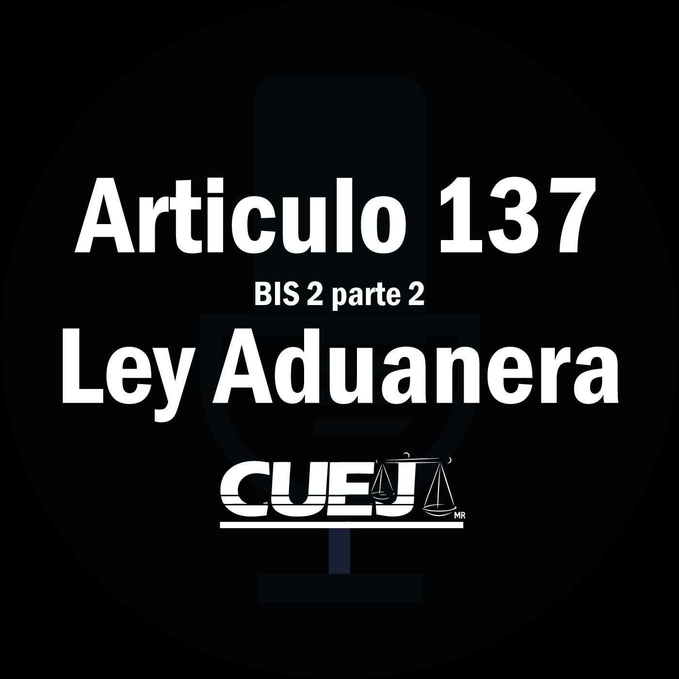 Audio Ley Aduanera