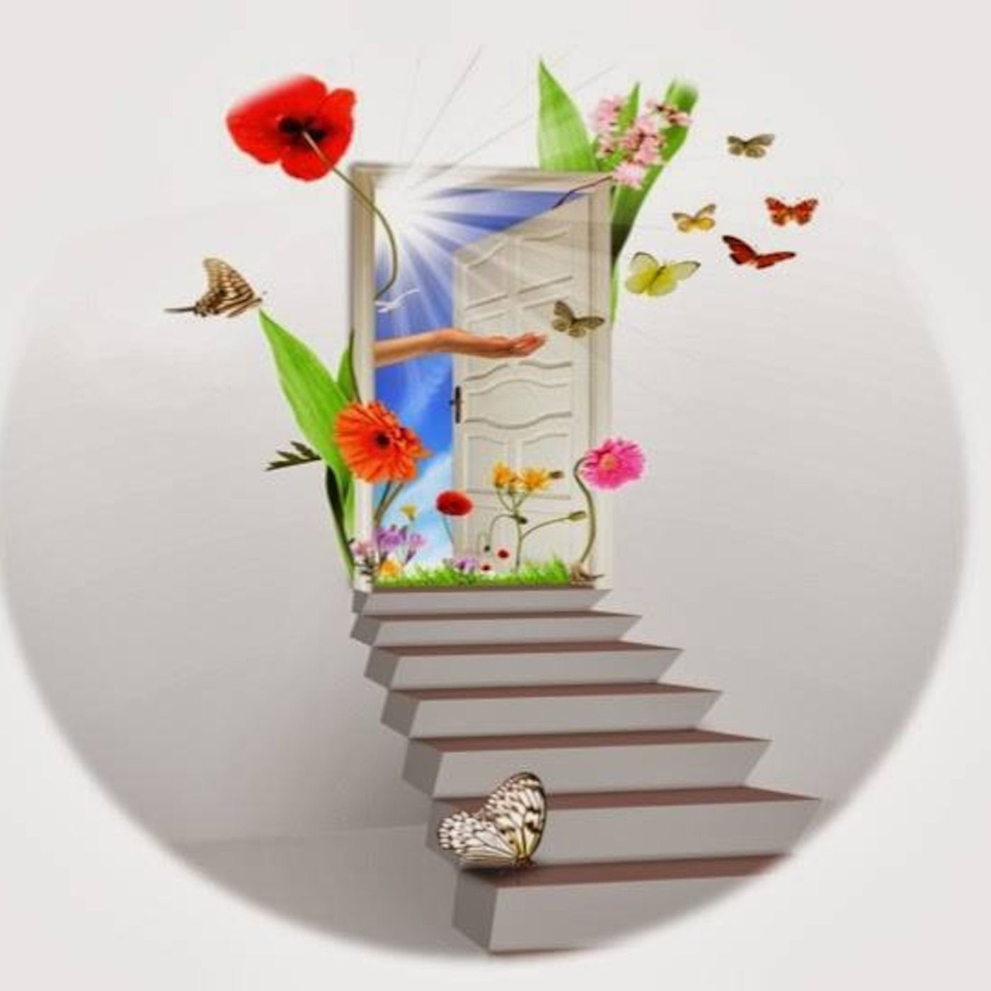 Interview with Midlife Mastery Expert Maria Allyn episode artwork