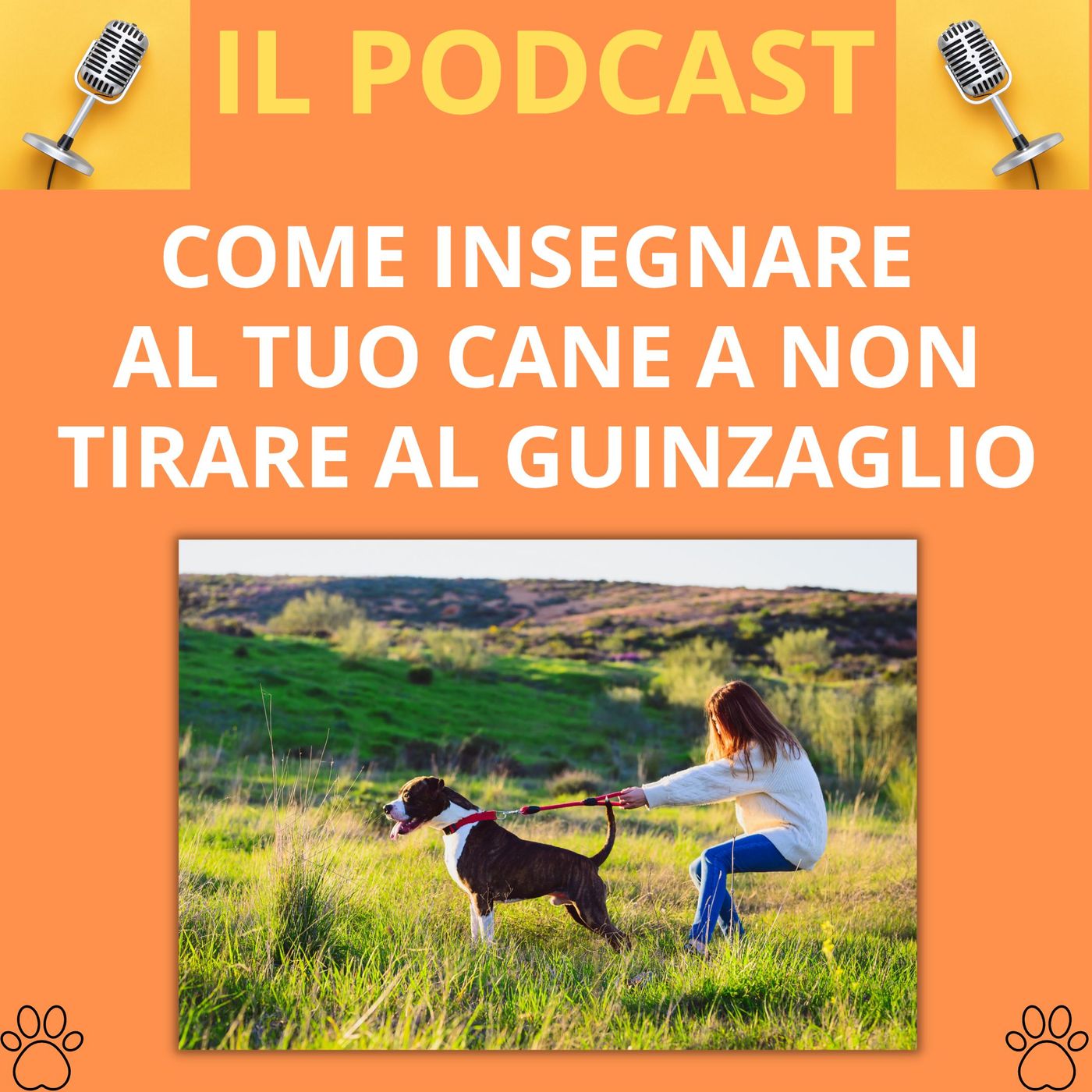 Cane&gatto: le domande più frequenti