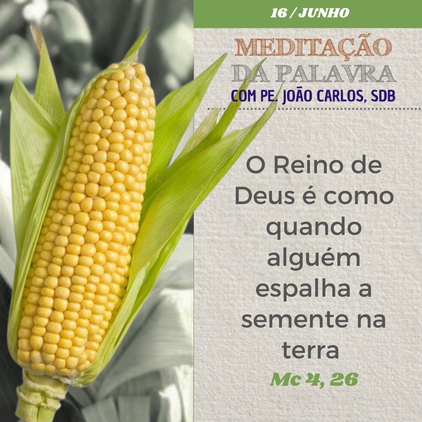 16 de junho de 2024 - Meditação da Palavra do Senhor