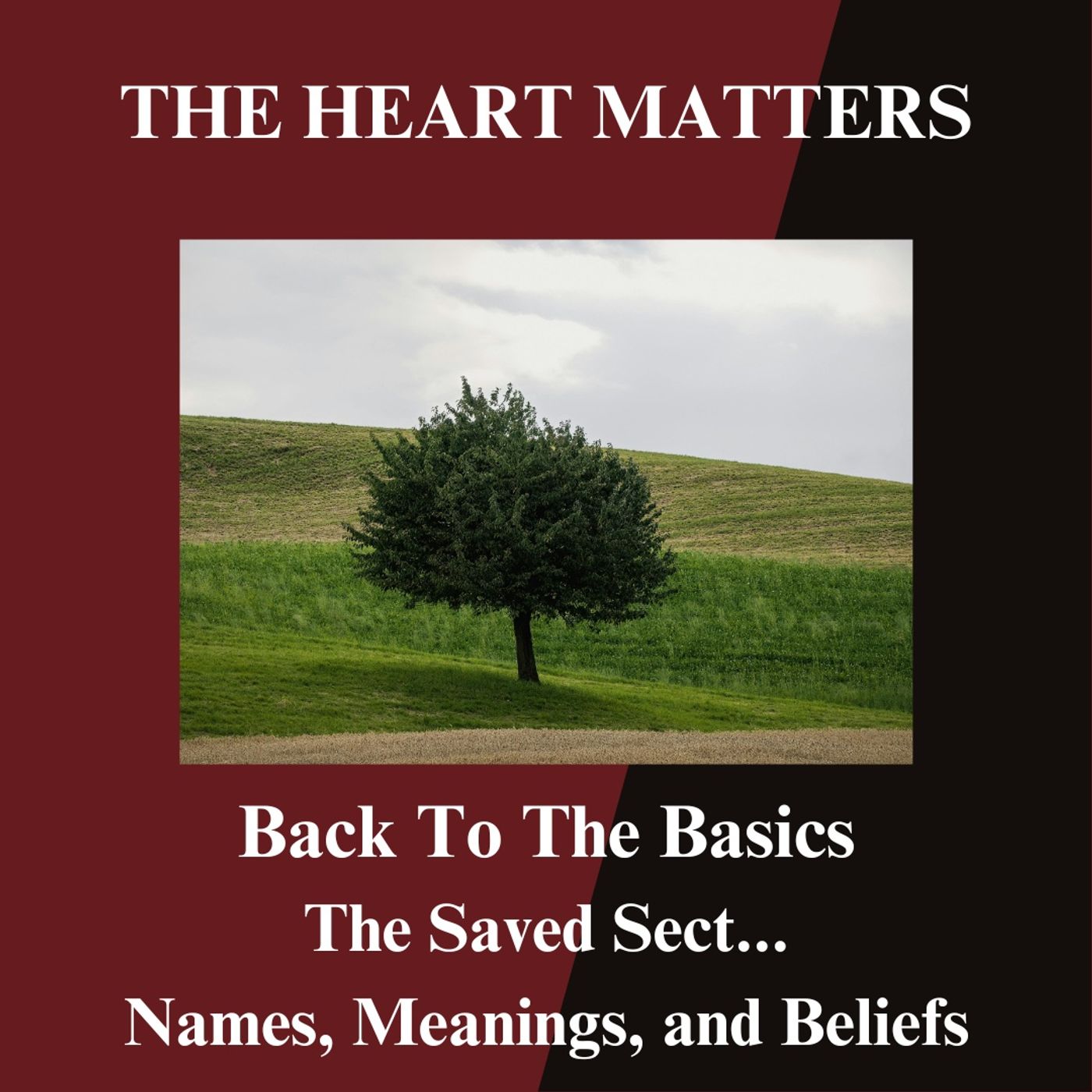 The Names, Meanings, and Beliefs of The Saved Sect