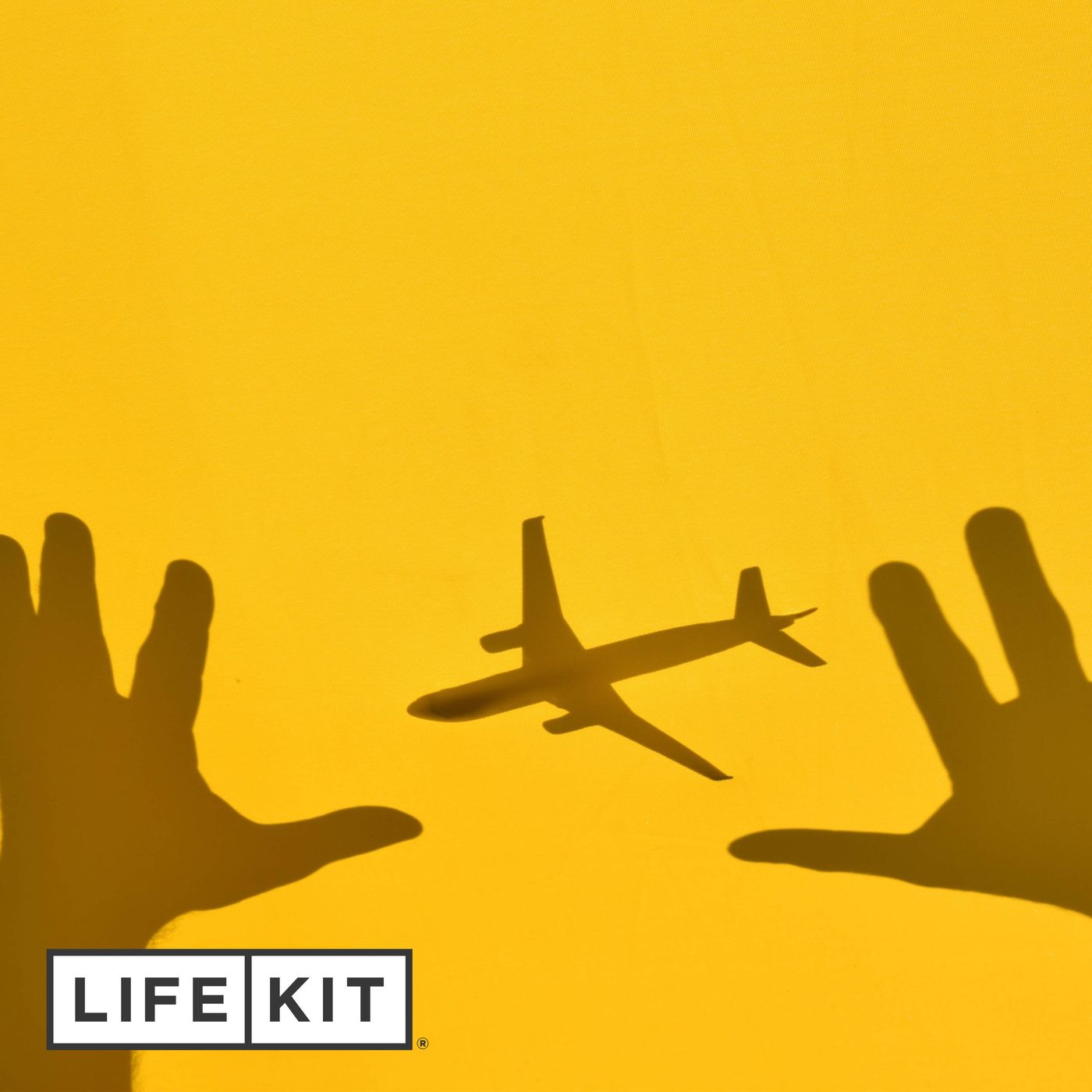 Flight cancelled again? Try these tips. episode artwork