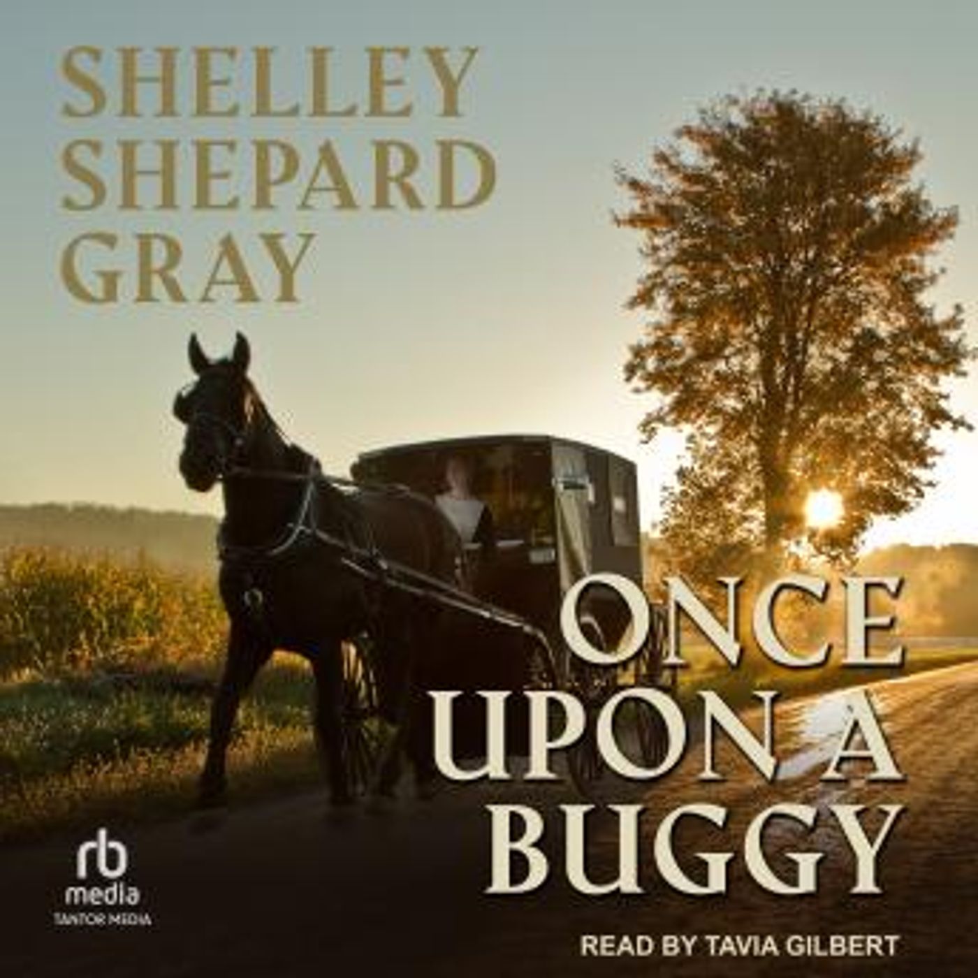 Access Top-Rated Full Audiobooks in Romance, Clean & Wholesome