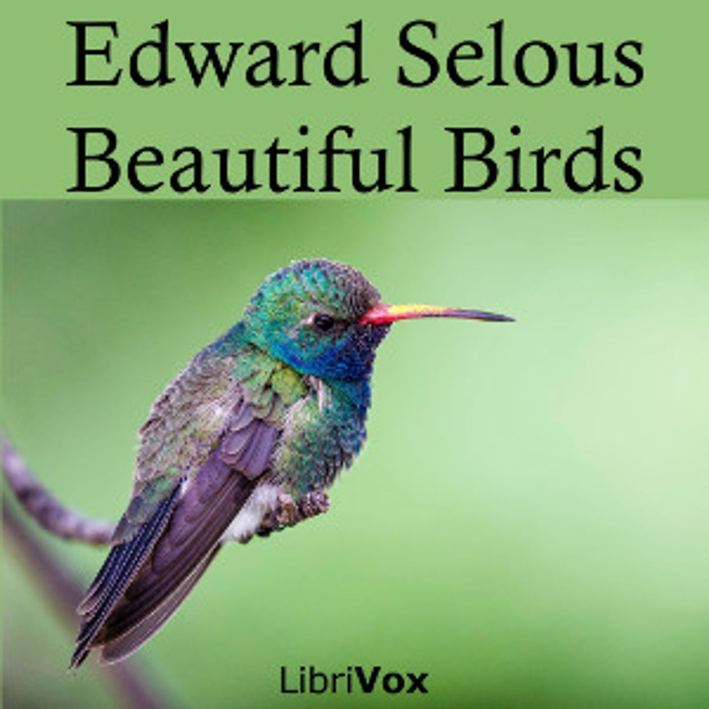Beautiful Birds by Edmund Selous (1857 - 1934)