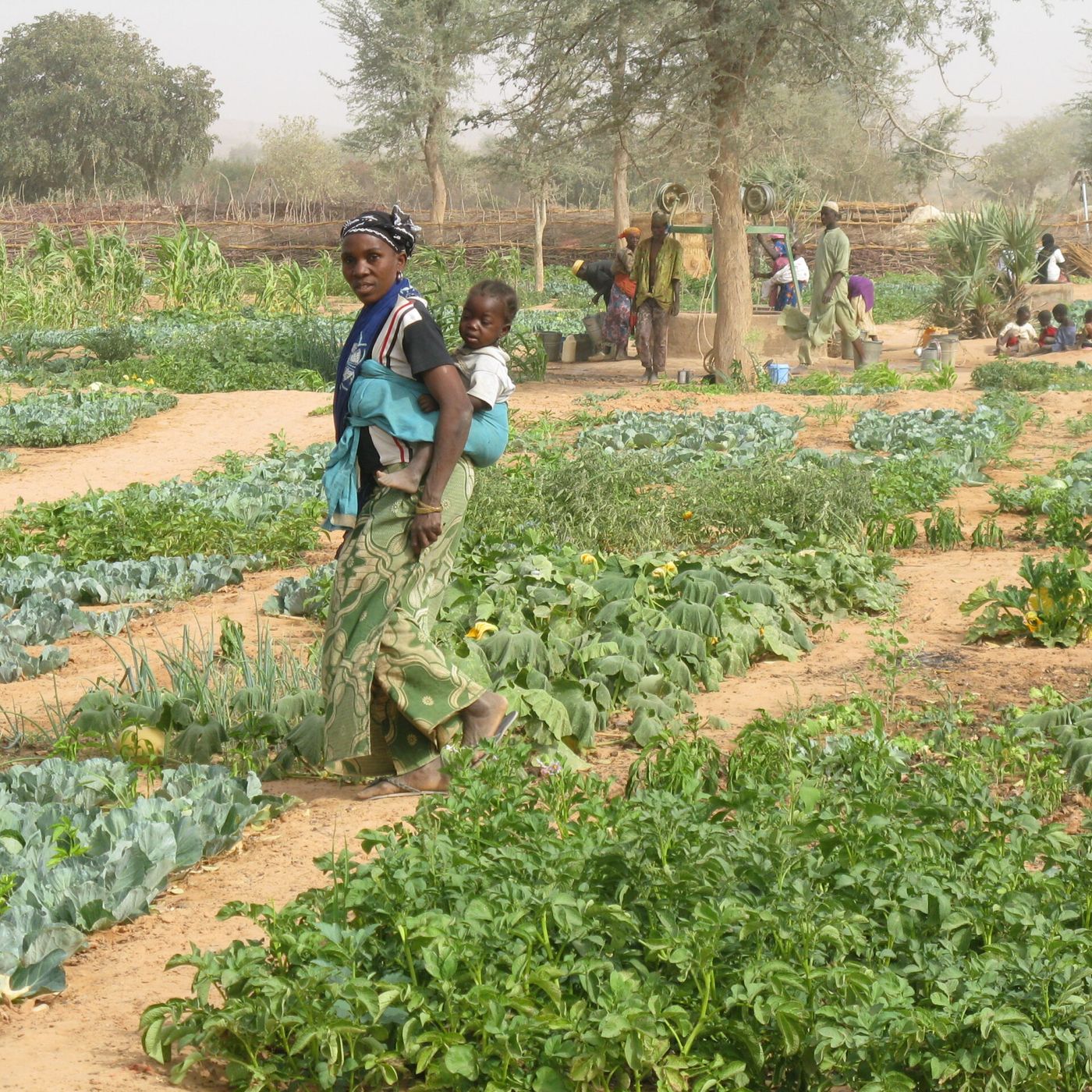 Journal en hausa - Studio Kalangou