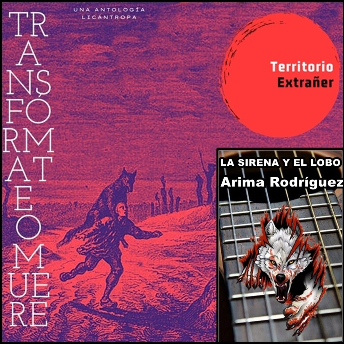 Territorio Extrañer