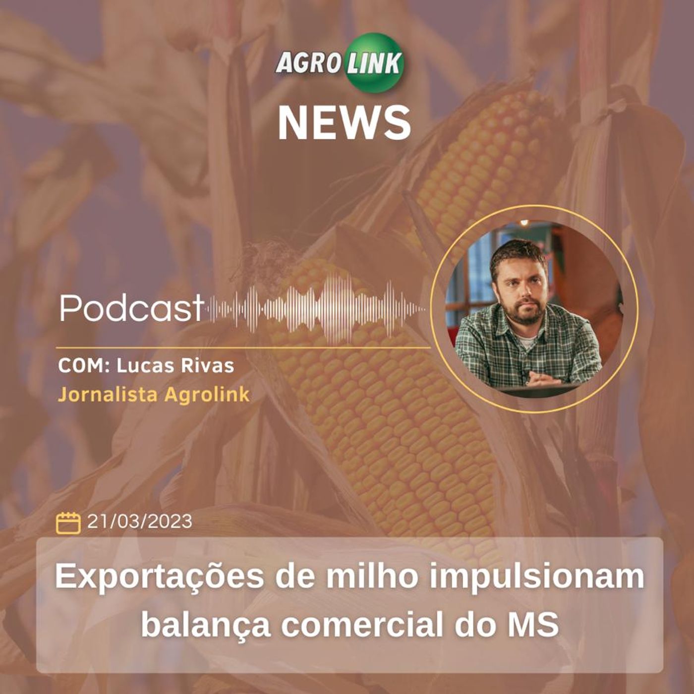 Paraná responde por um terço da produção de frangos do país episode artwork