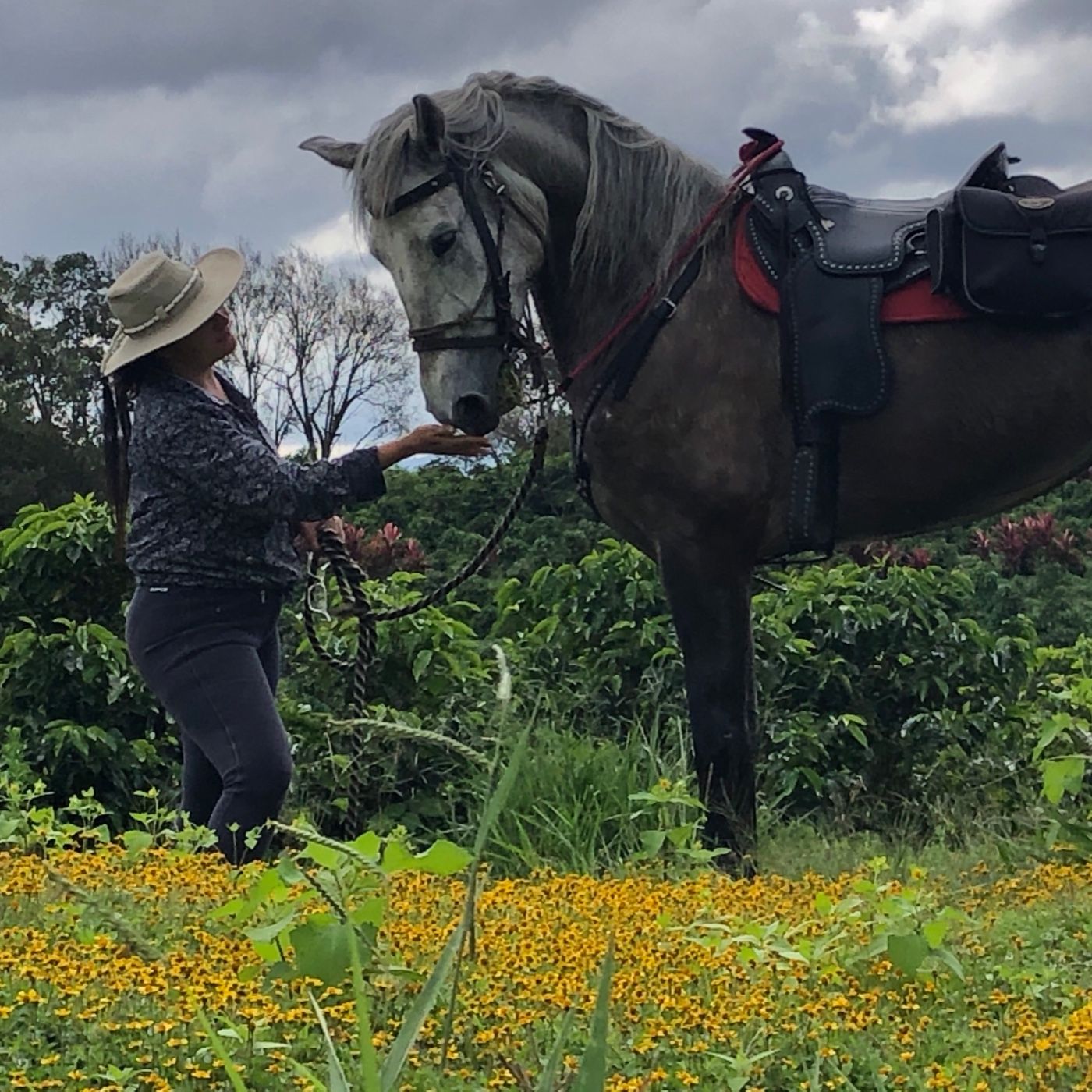 Equinoterapia En Autismo