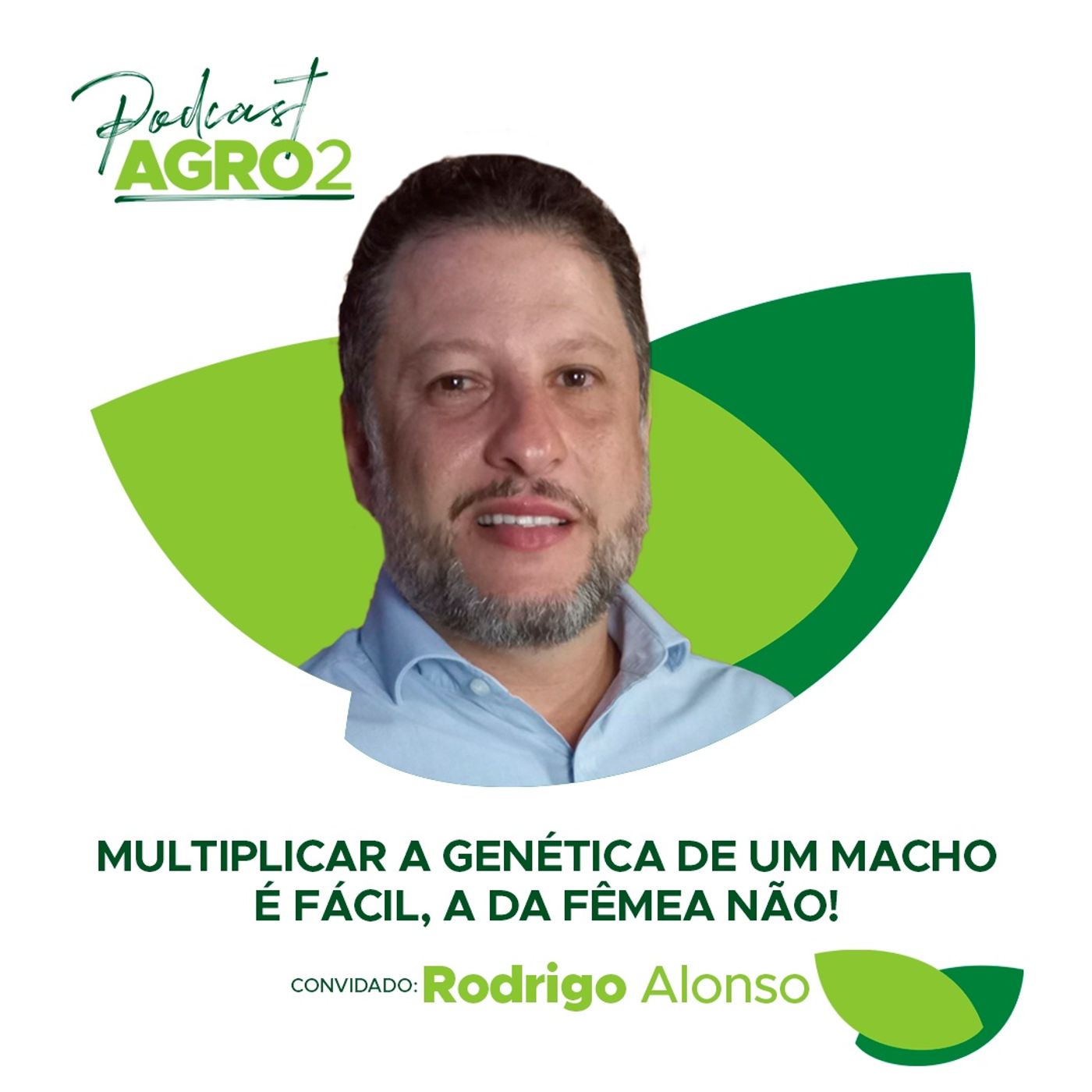 #84 Saiba como aumentar o índice de prenhez no seu rebanho - Por Rodrigo Alonso episode artwork