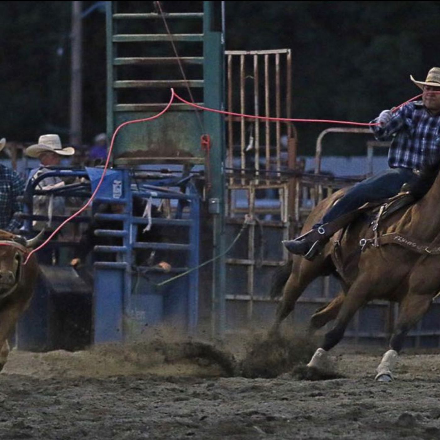 Episode 11 - Brooks Dahozy - PRCA Team Roper and CRC Cowboy