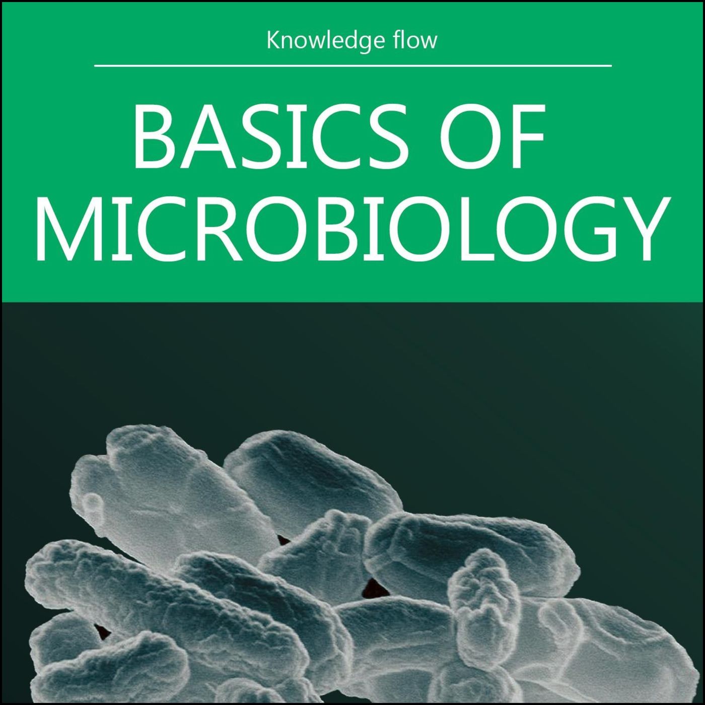 Microbe Marvels: The Unseen World