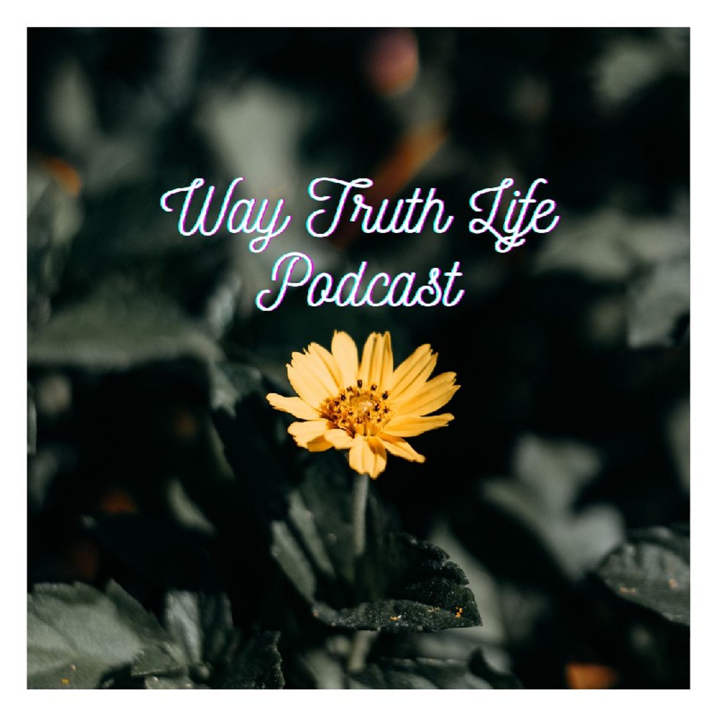 WTL RADIO | EP.12 | WayTruthLife TV | LFY MEDIA | Tamil Christian Song WTL RADIO | EP.12 | WayTruthLife TV | LFY MEDIA | Tamil Christian Song