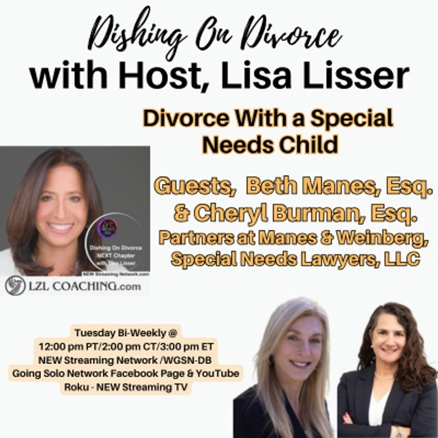 Divorce With a Special  Needs Child - Cheryl Burman Esq & Beth Manes Esq episode artwork