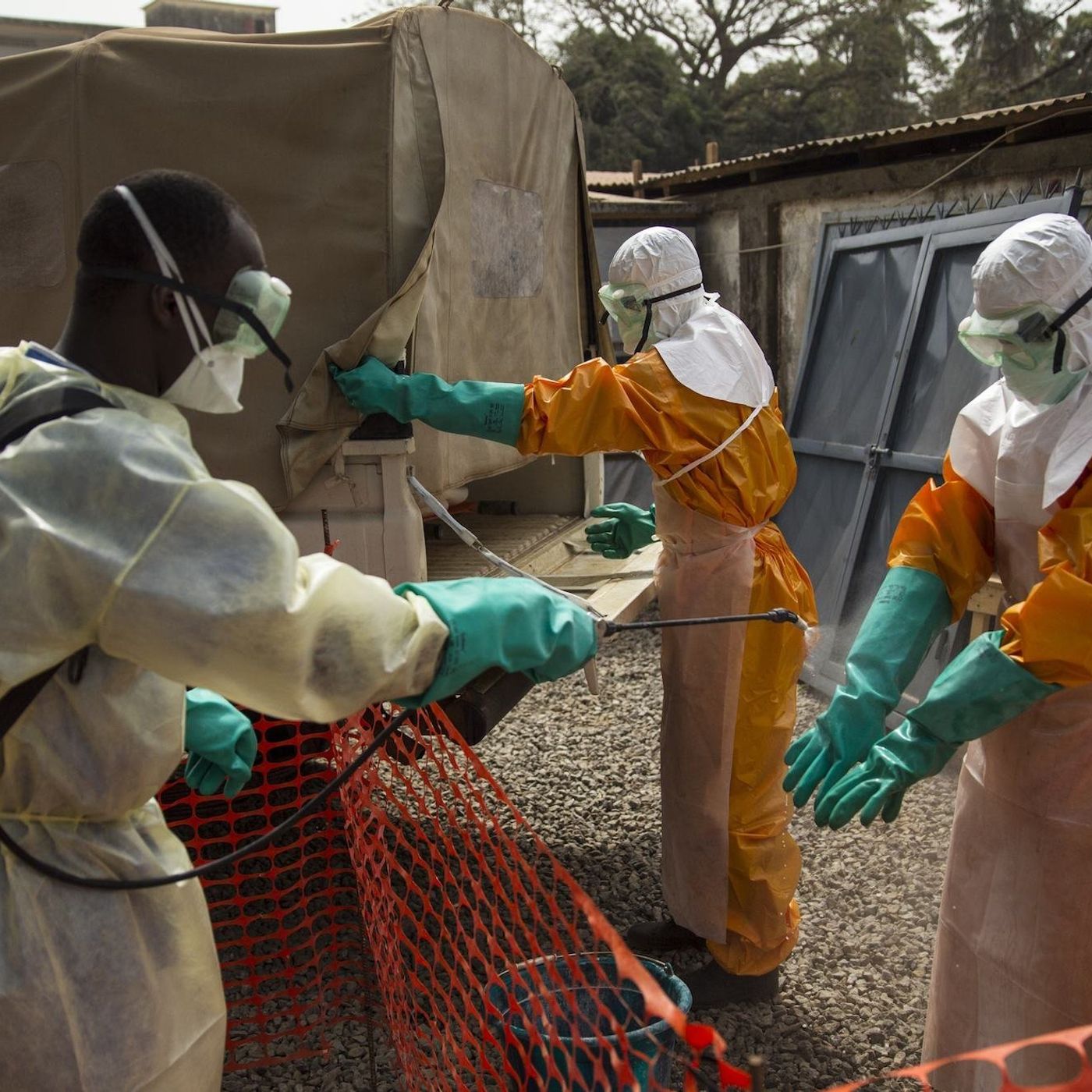 Campanhas de desinformação afetam combate ao vírus ebola episode artwork