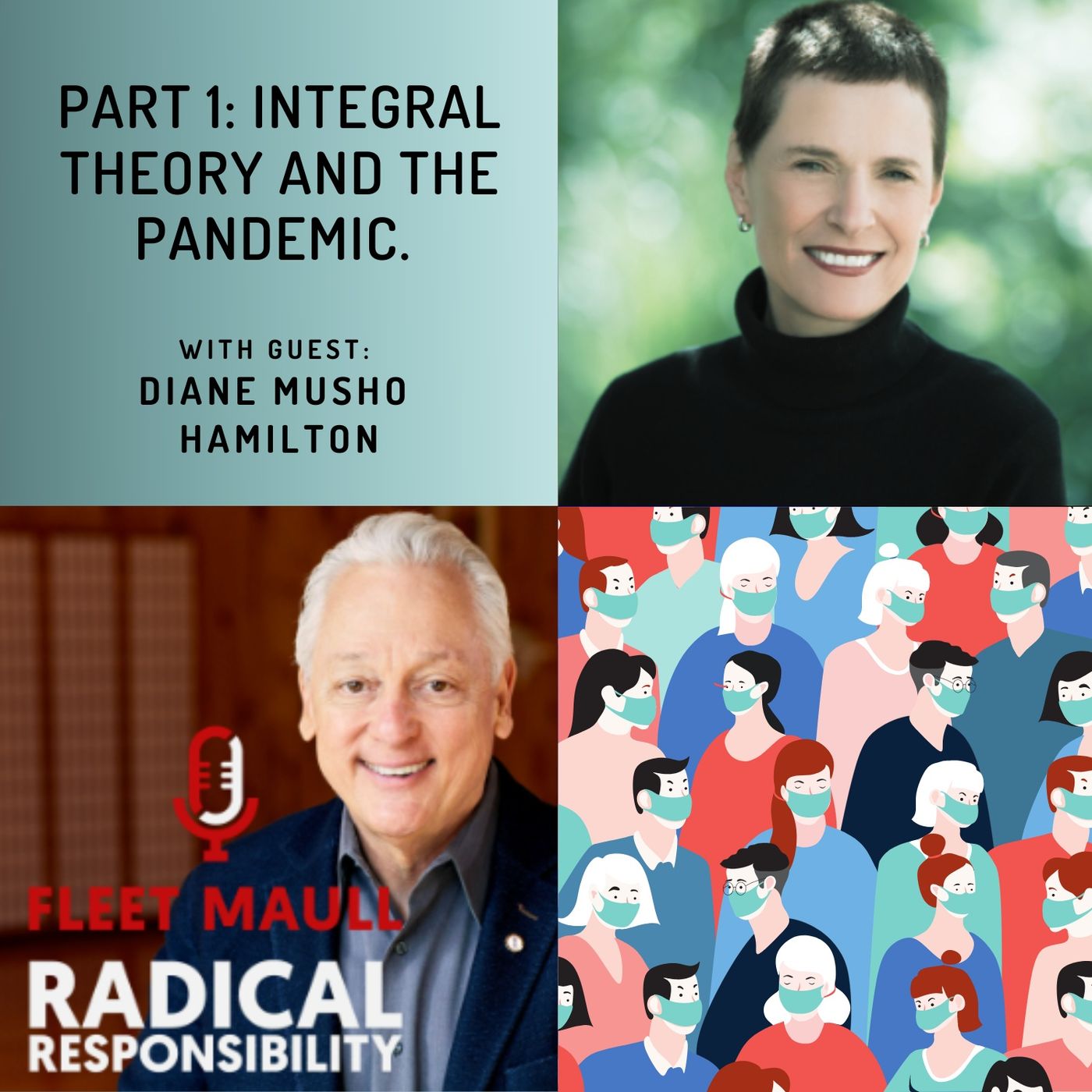 EP 117: Part 1:  Integral theory and the pandemic | Diane Musho Hamilton