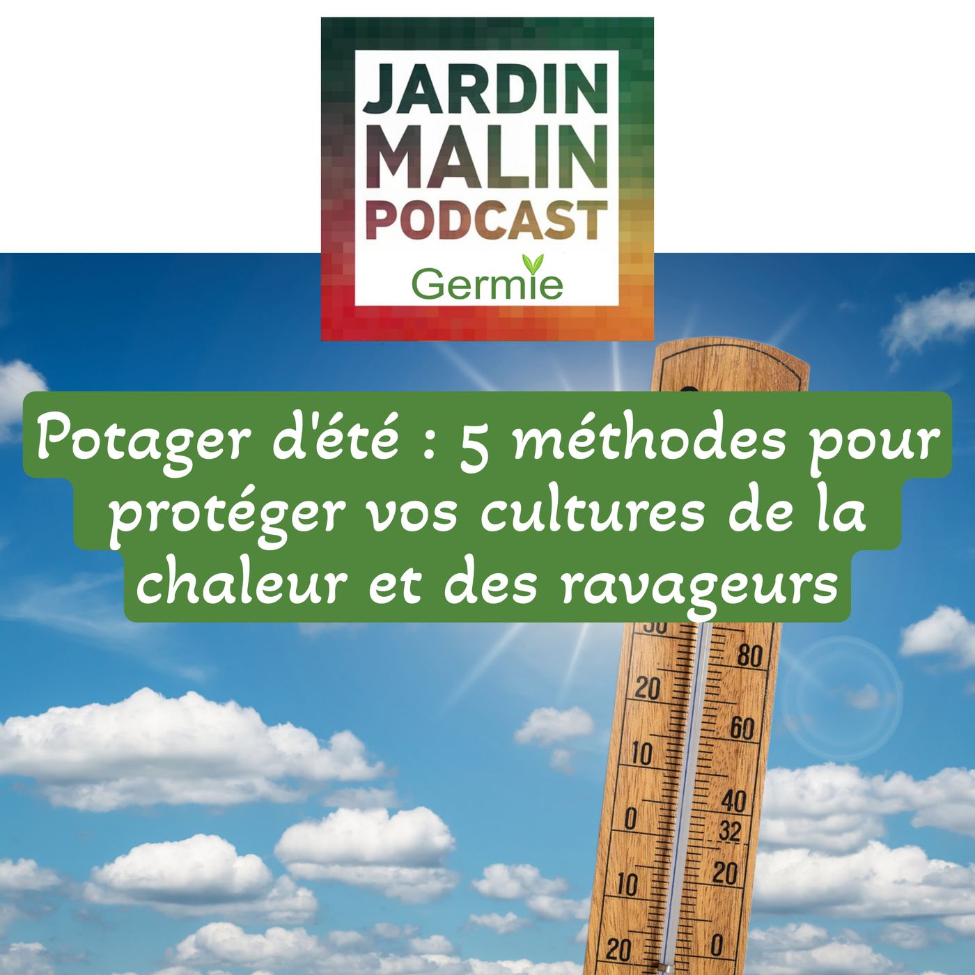 5 méthodes expertes pour protéger vos cultures de la chaleur et des ravageurs