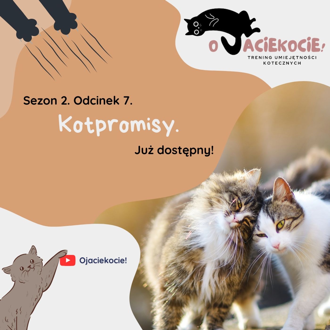 S2E7 - Kotpromisy. episode artwork